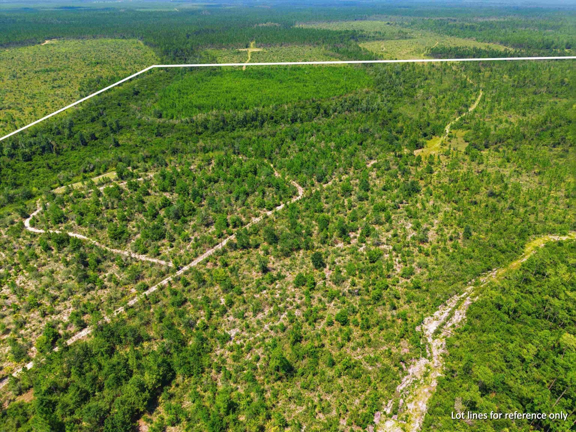 Sw Scotts Ferry Road, Other, FL 32466 Photo