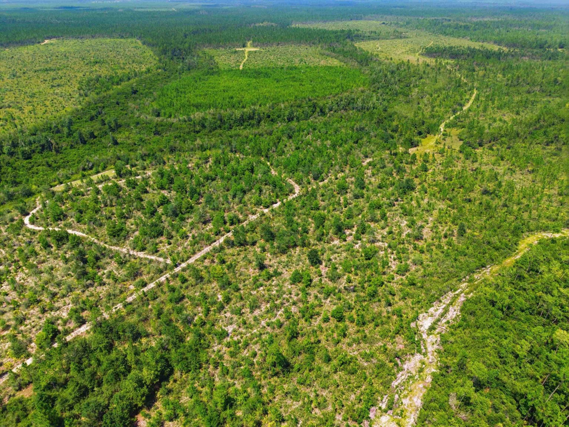 Sw Scotts Ferry Road, Other, FL 32466 Photo