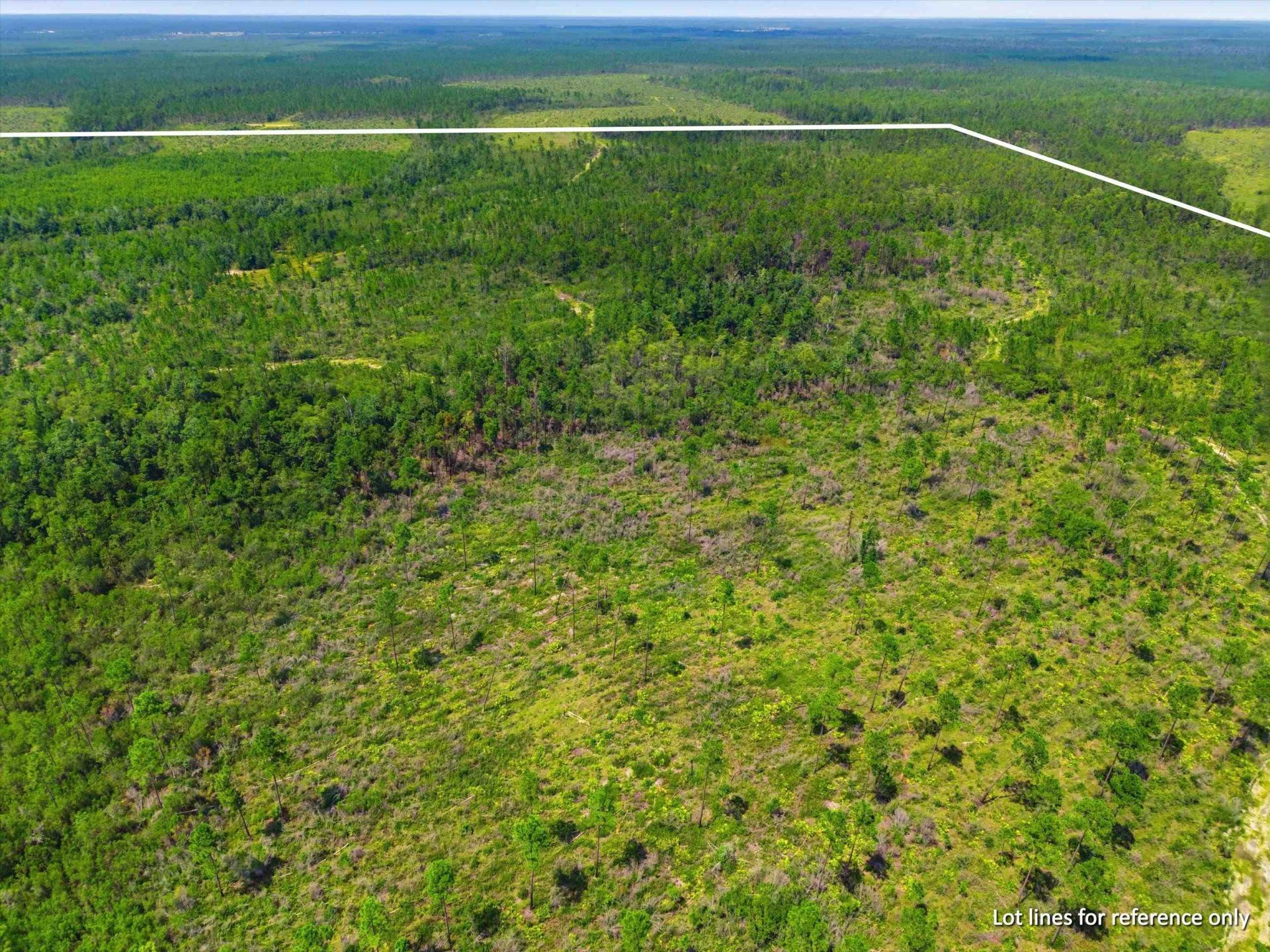 Sw Scotts Ferry Road, Other, FL 32466 Photo