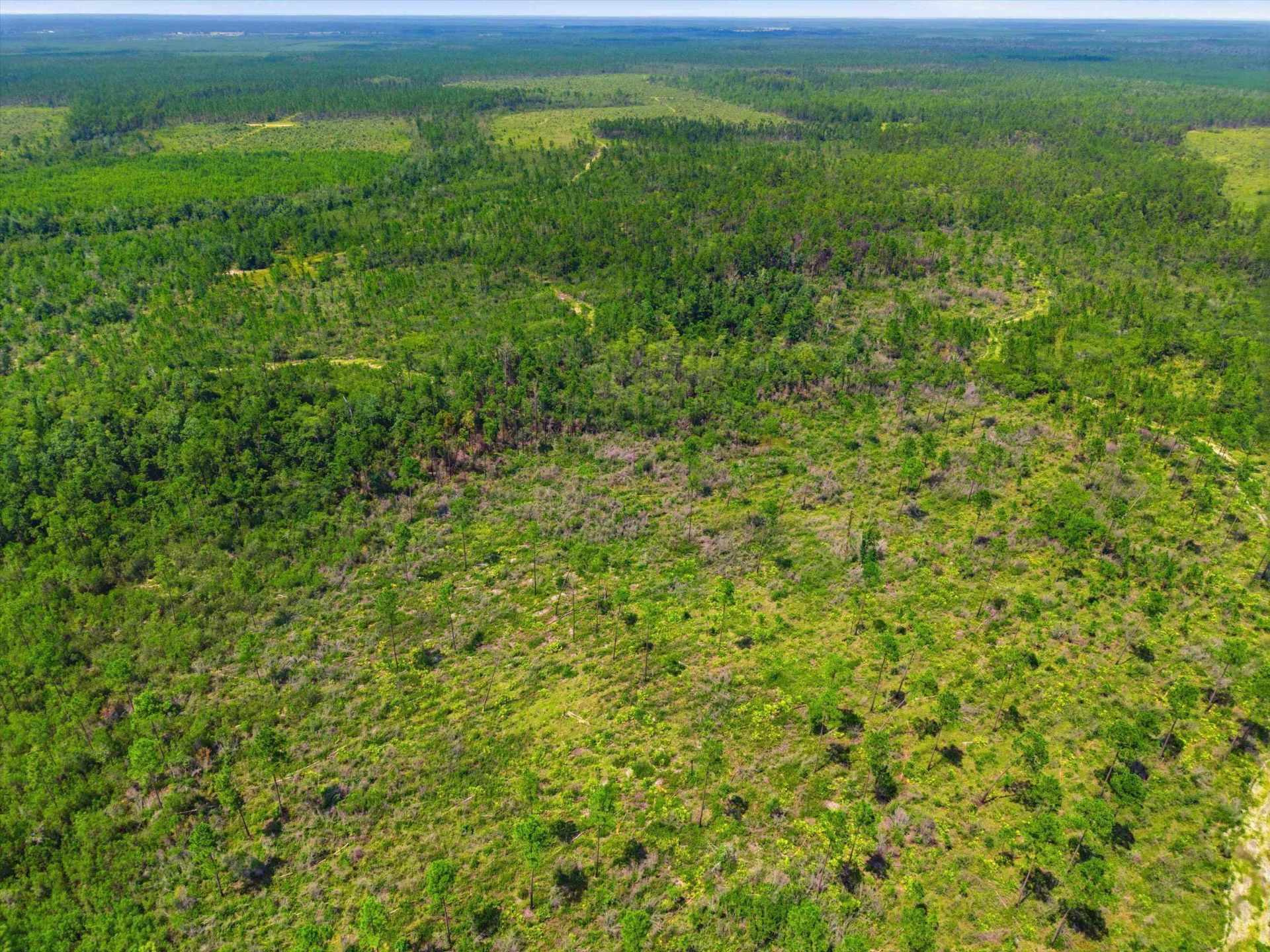 Sw Scotts Ferry Road, Other, FL 32466 Photo