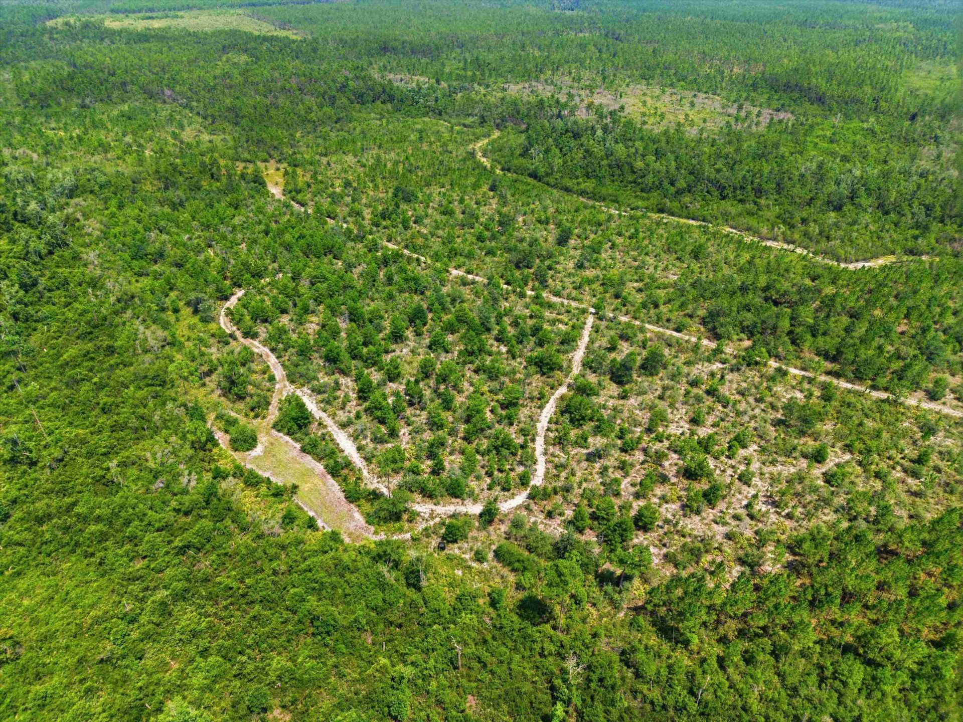 Sw Scotts Ferry Road, Other, FL 32466 Photo
