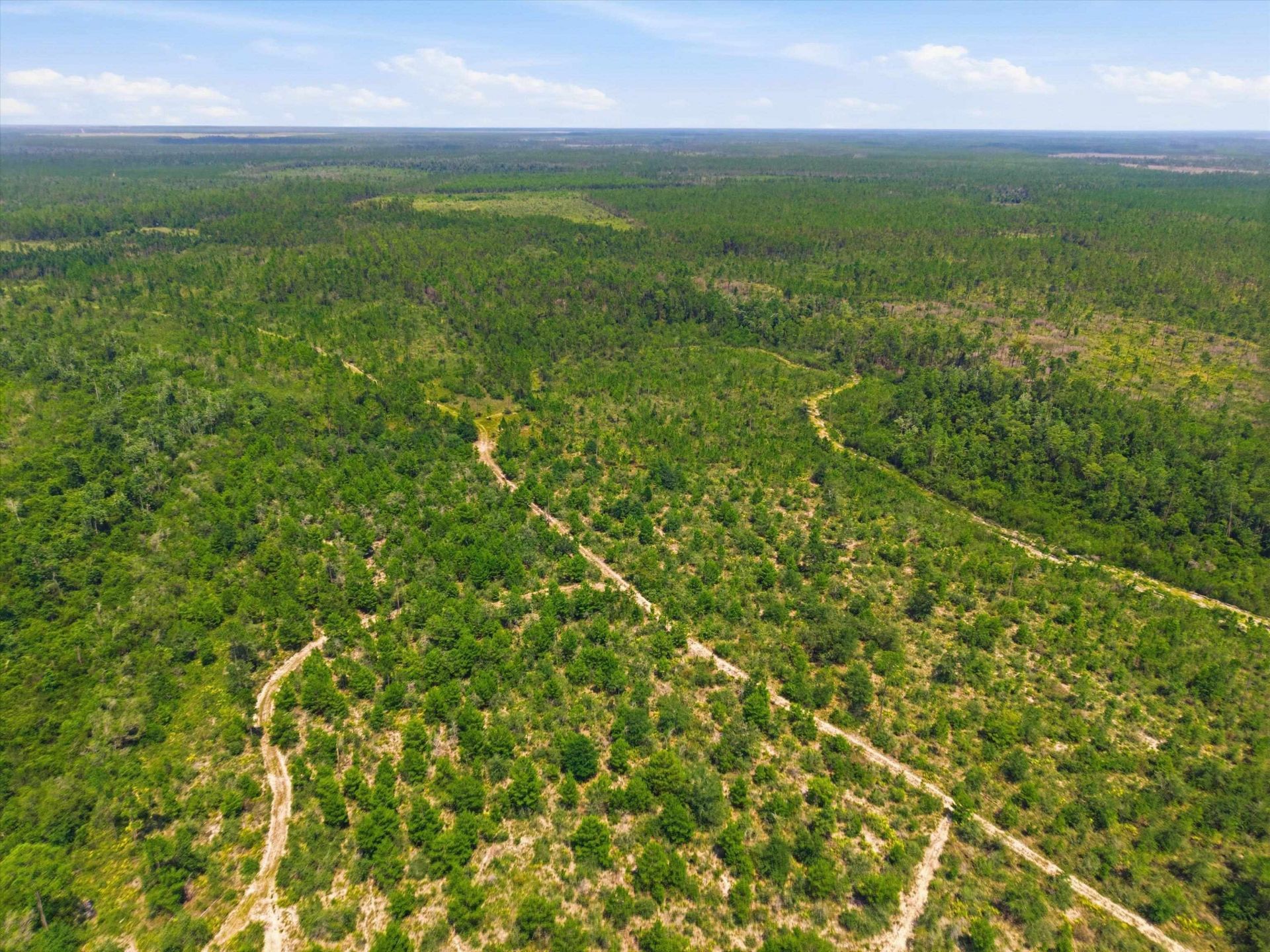 Sw Scotts Ferry Road, Other, FL 32466 Photo