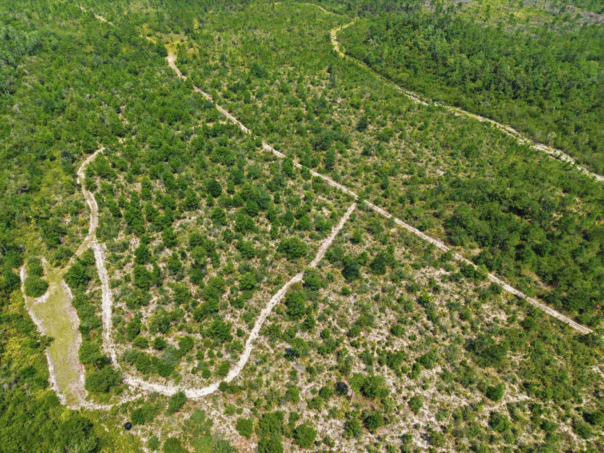 Sw Scotts Ferry Road, Other, FL 32466 Photo