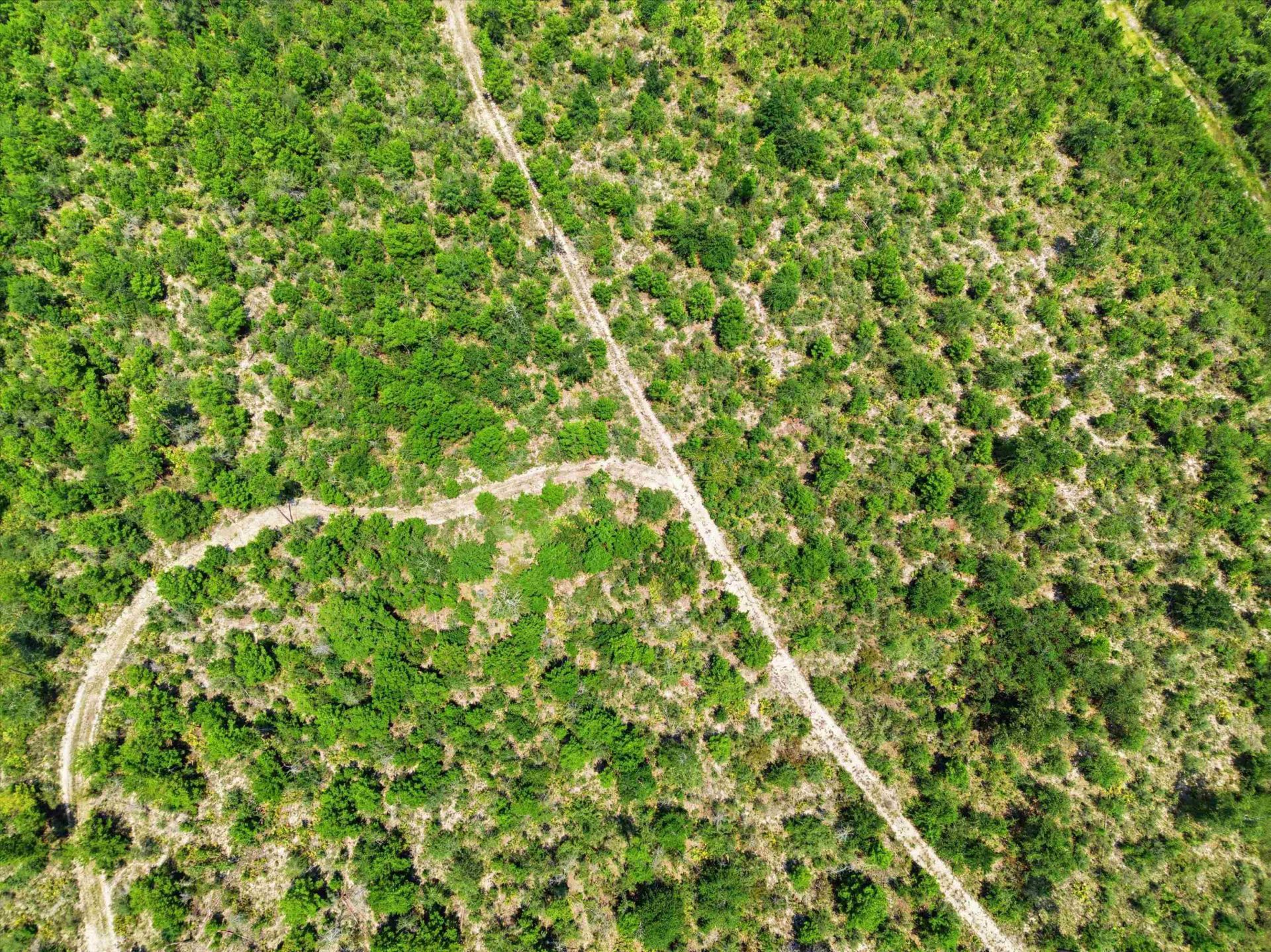 Sw Scotts Ferry Road, Other, FL 32466 Photo