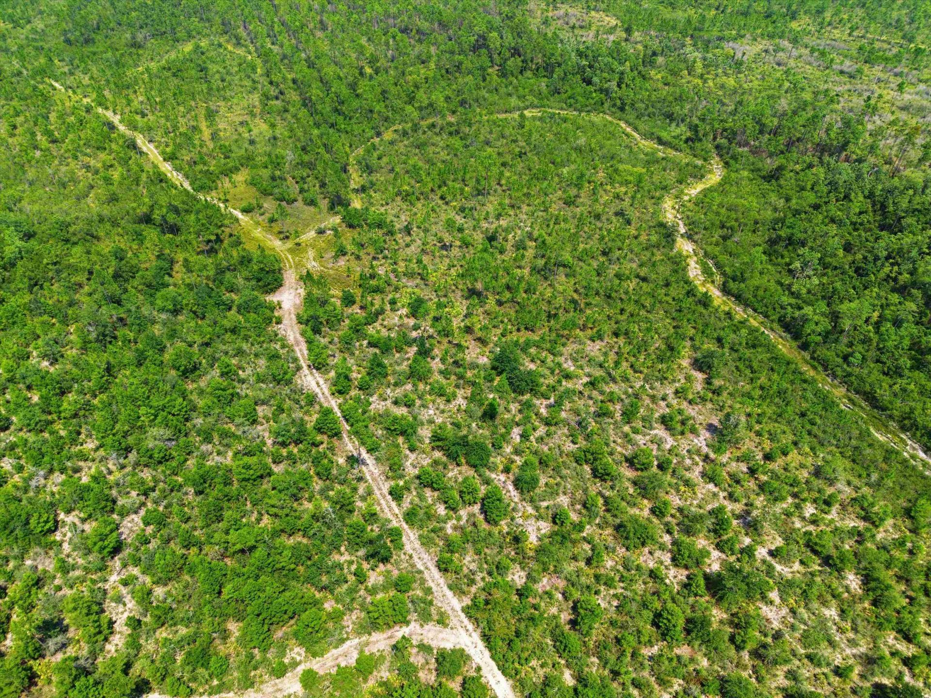 Sw Scotts Ferry Road, Other, FL 32466 Photo