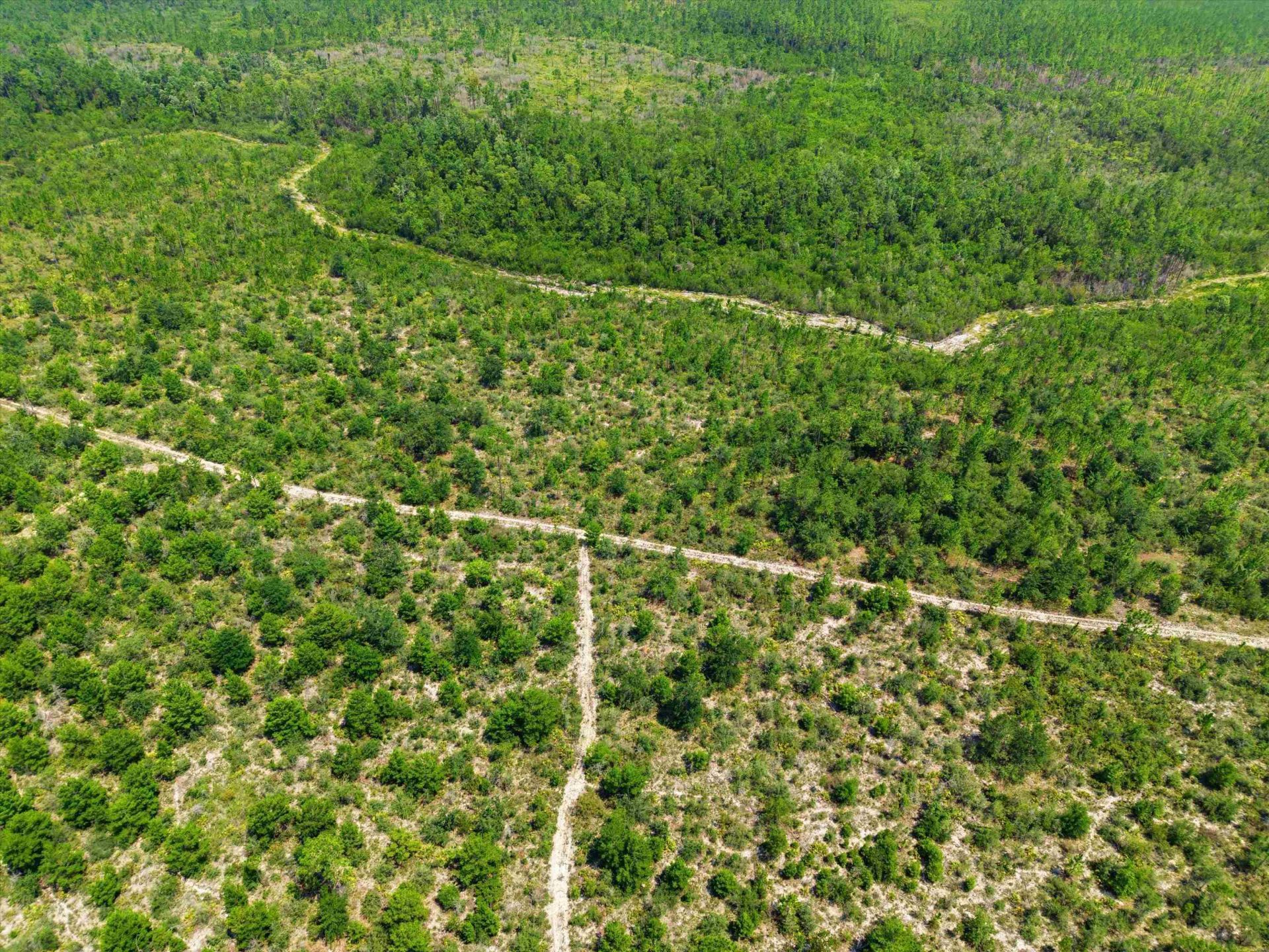 Sw Scotts Ferry Road, Other, FL 32466 Photo