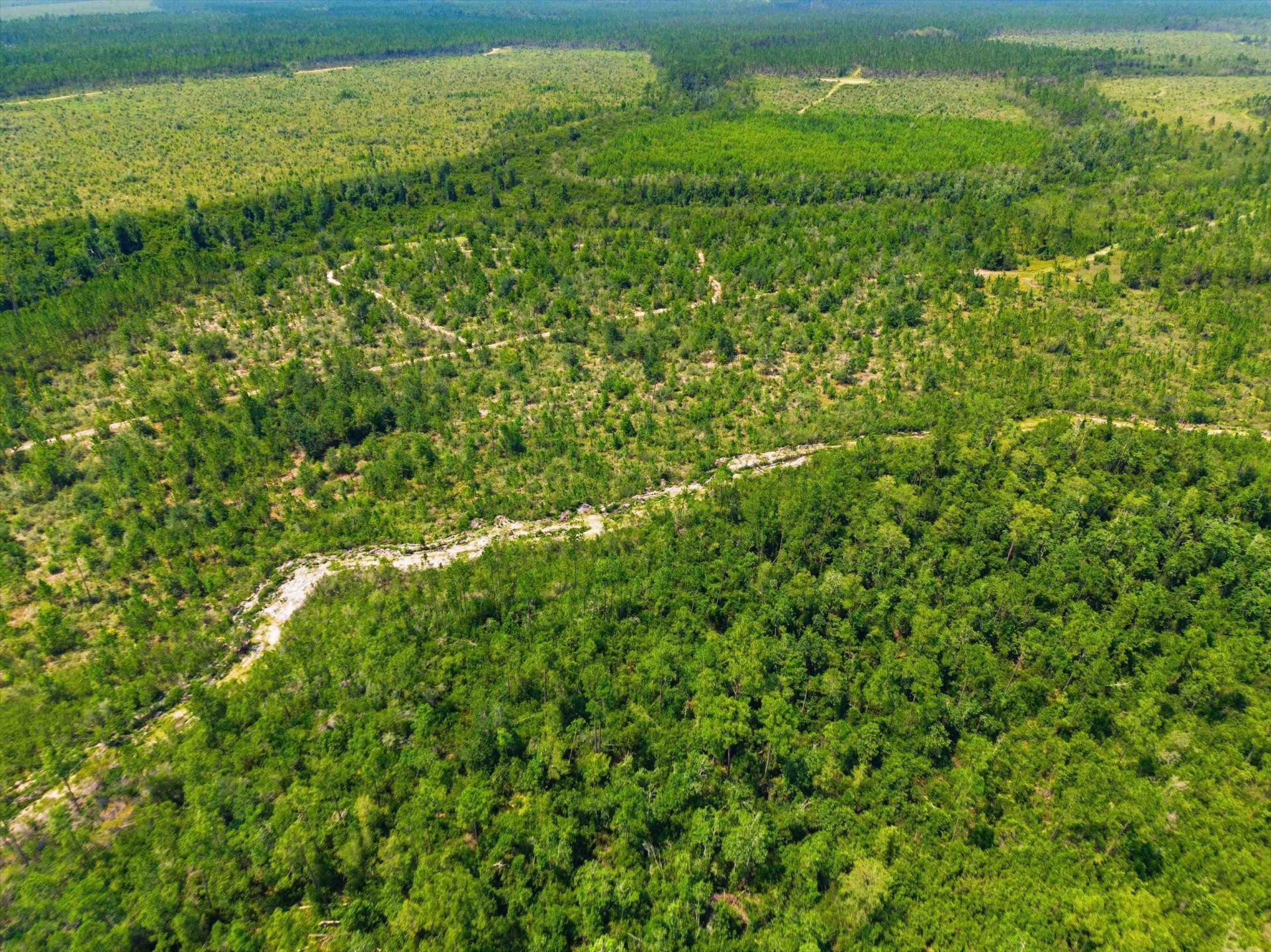 Sw Scotts Ferry Road, Other, FL 32466 Photo