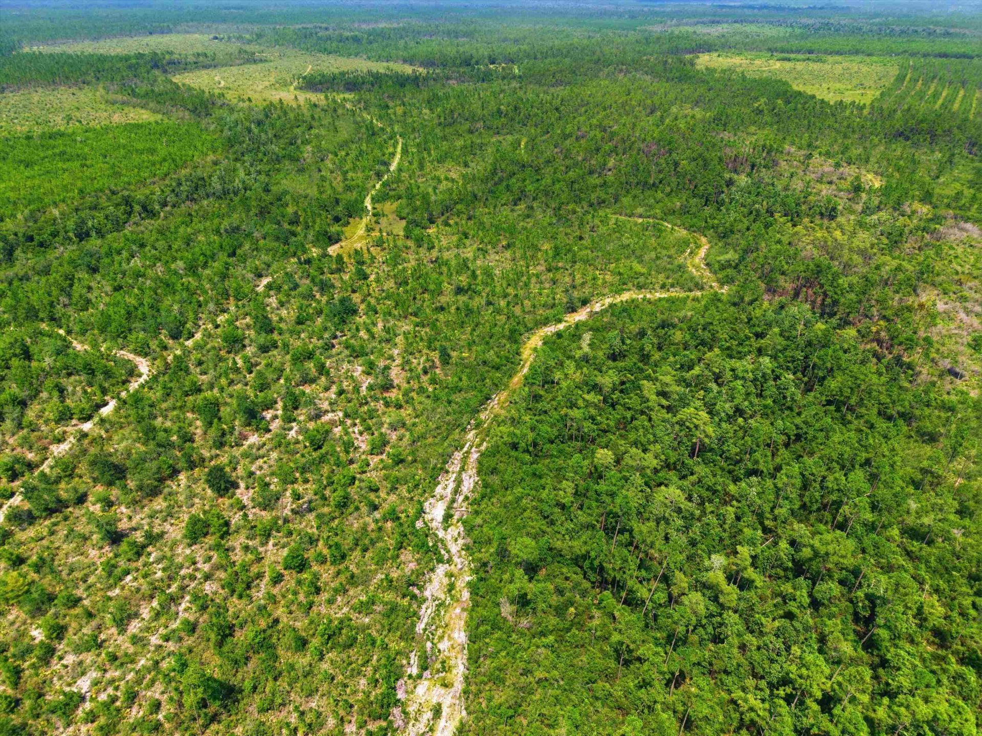 Sw Scotts Ferry Road, Other, FL 32466 Photo