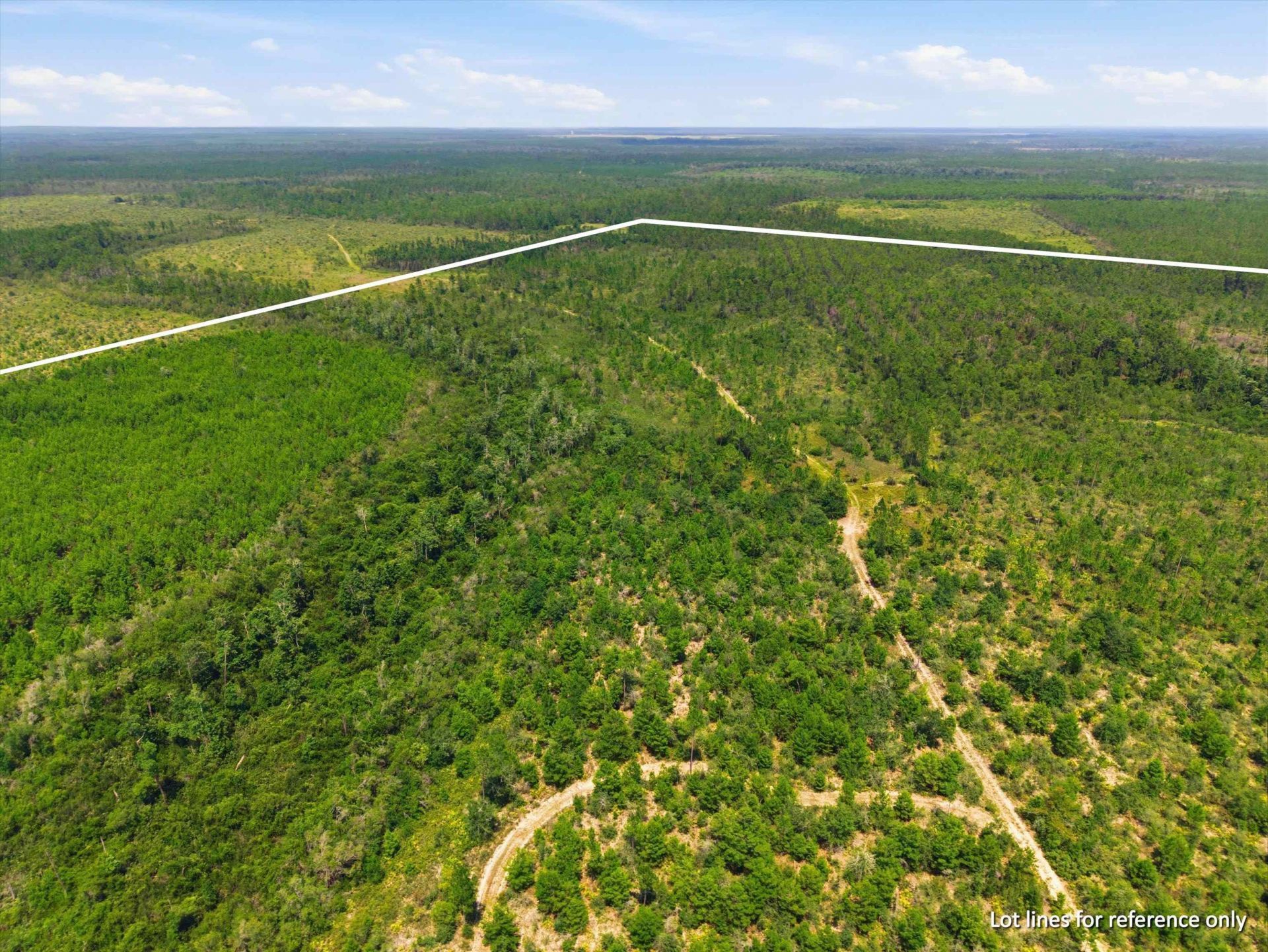 Sw Scotts Ferry Road, Other, FL 32466 Photo