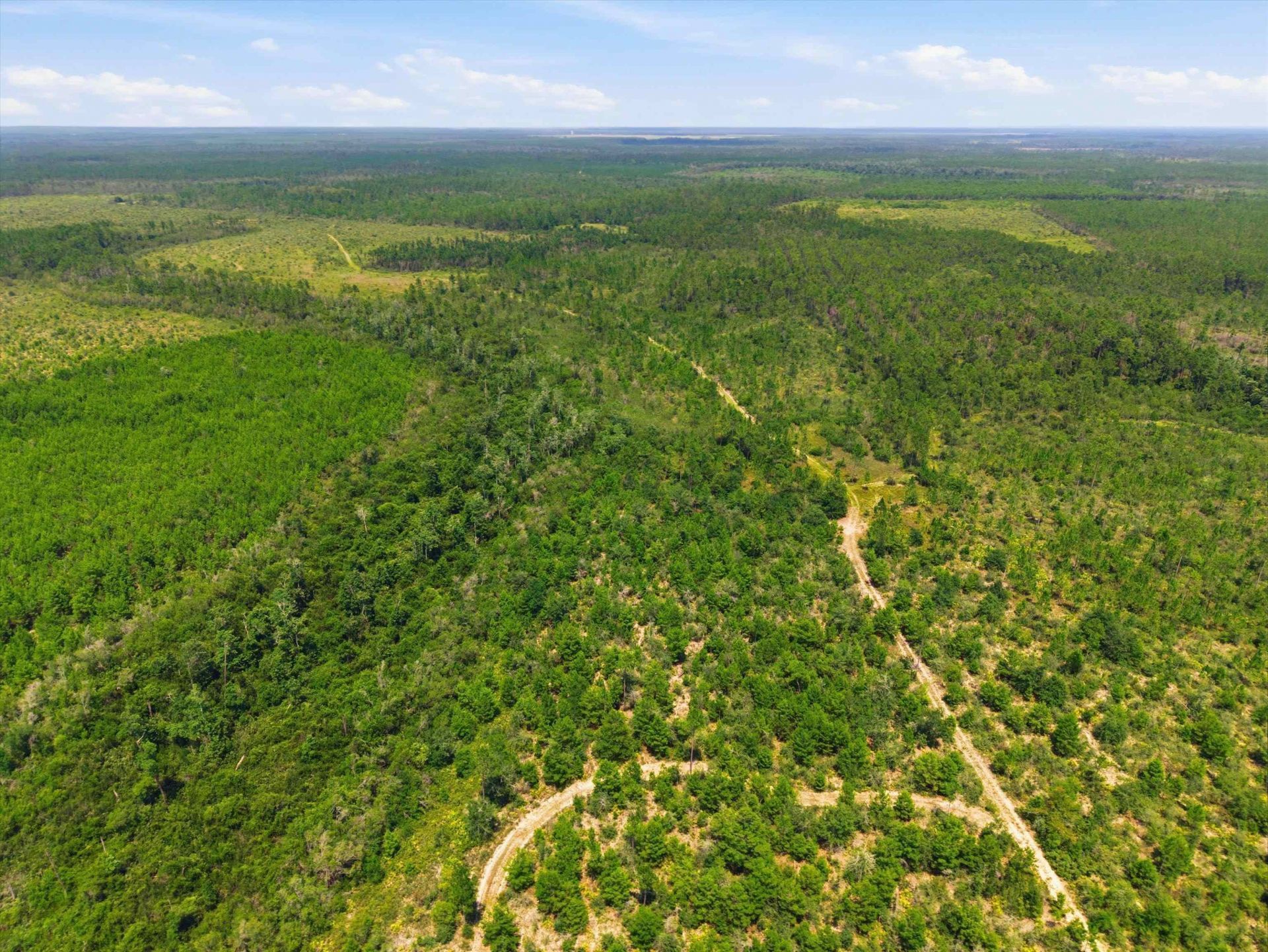 Sw Scotts Ferry Road, Other, FL 32466 Photo