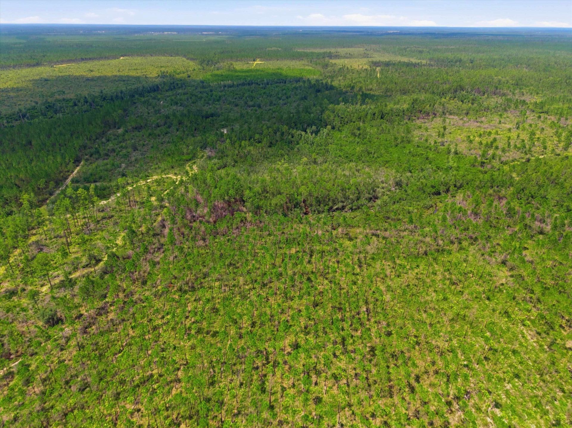 Sw Scotts Ferry Road, Other, FL 32466 Photo