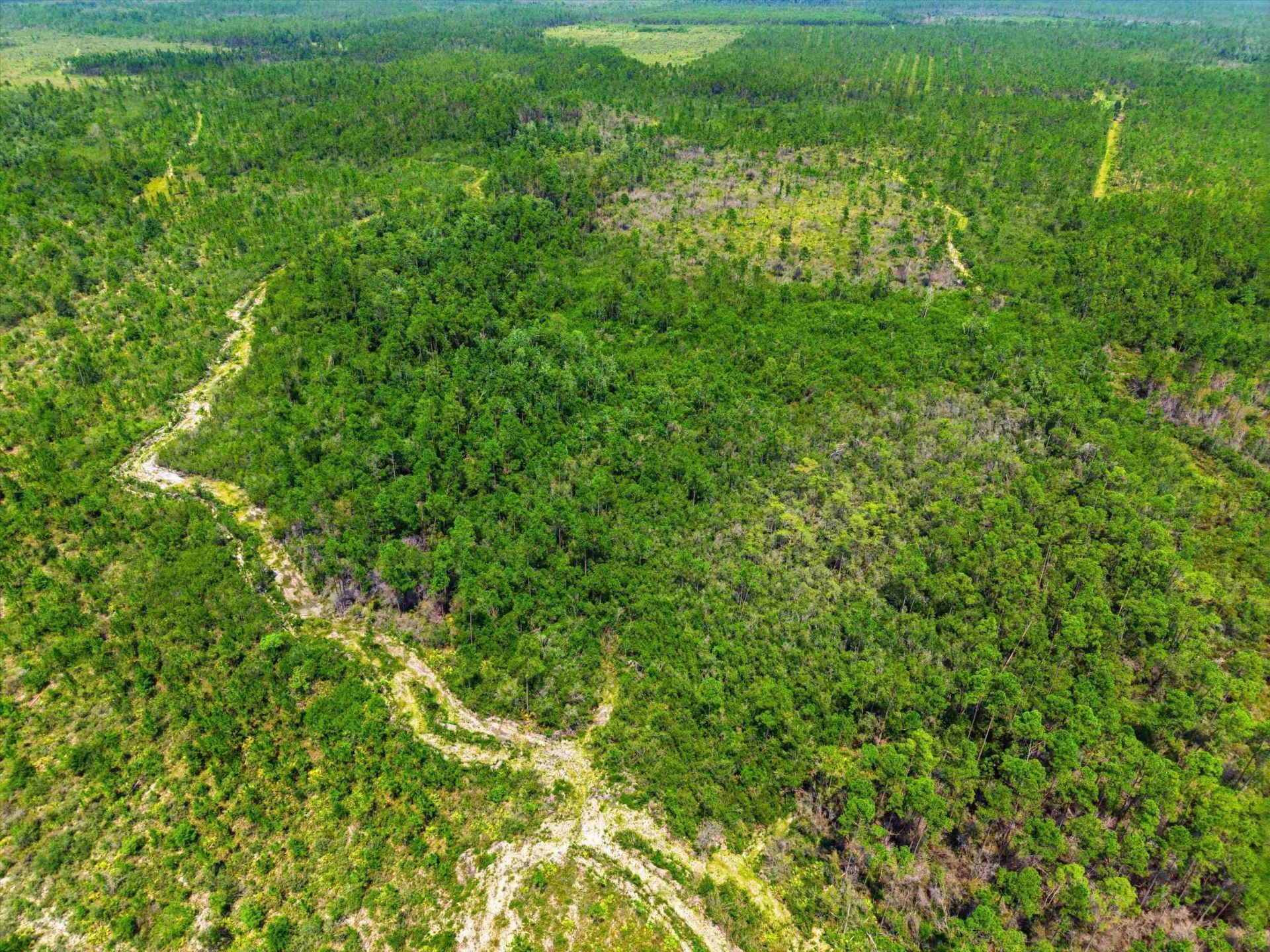 Sw Scotts Ferry Road, Other, FL 32466 Photo