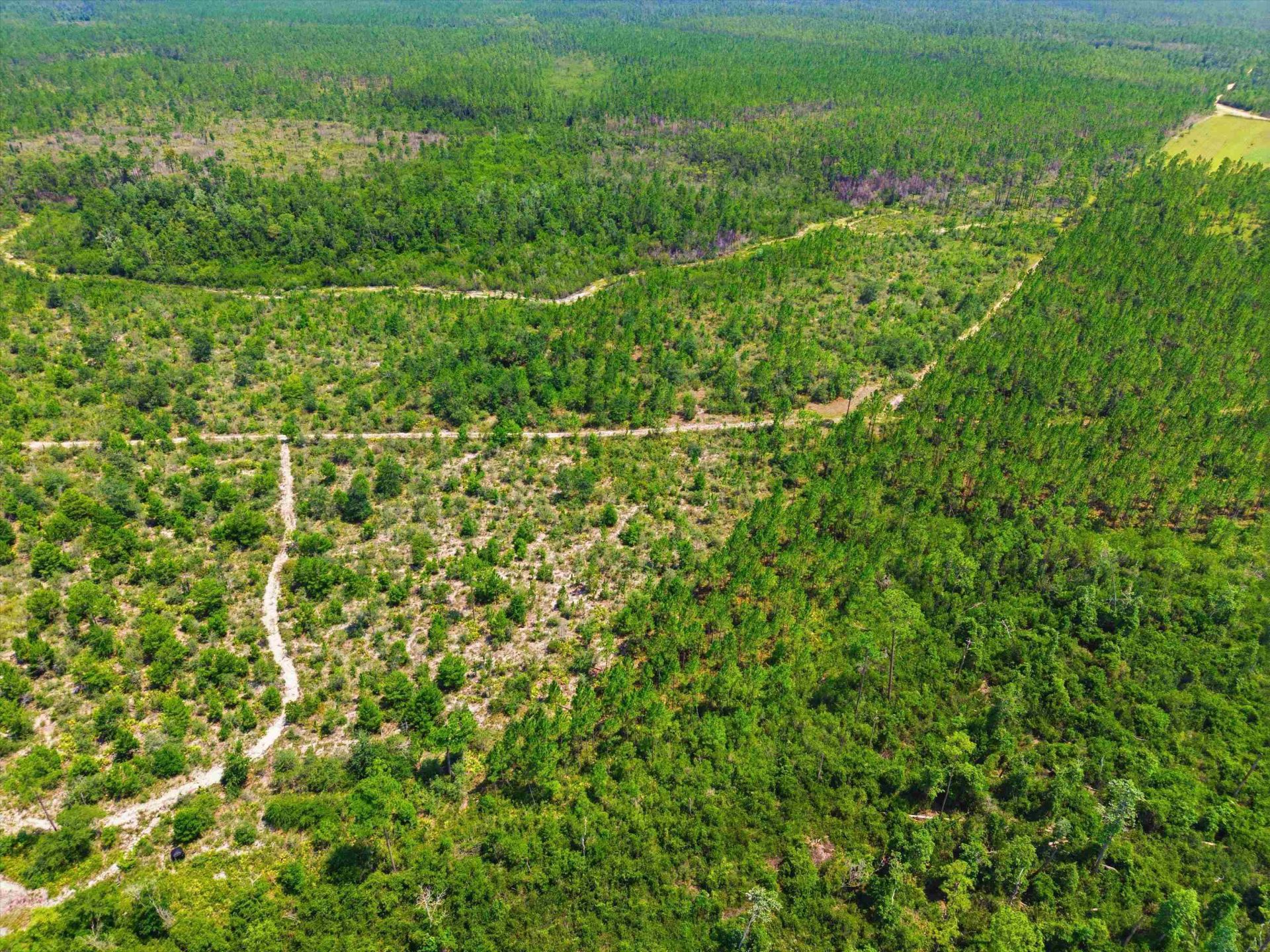 Sw Scotts Ferry Road, Other, FL 32466 Photo