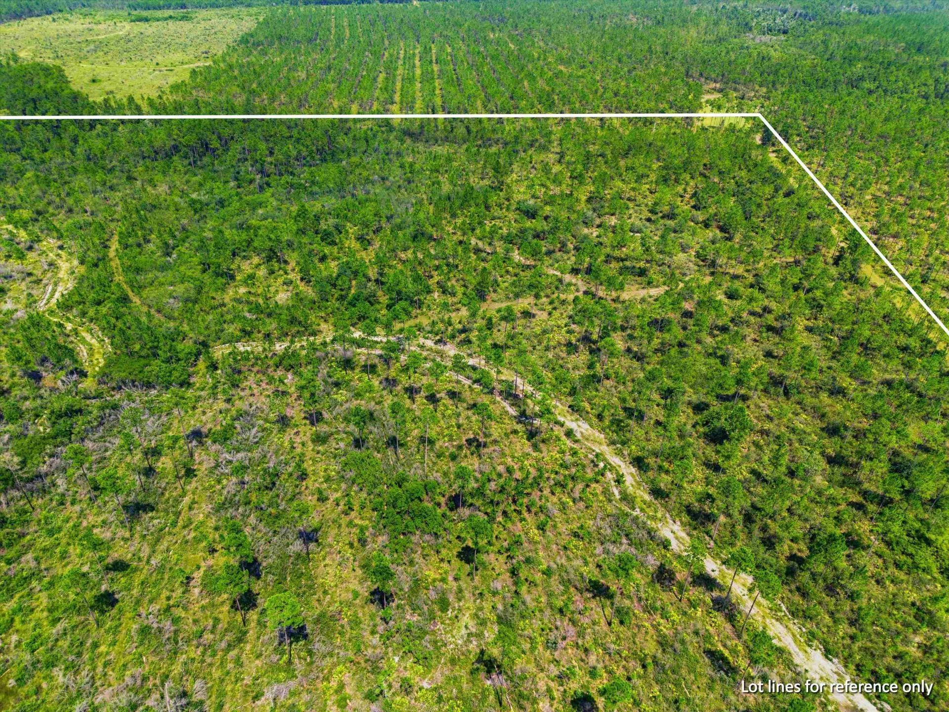 Sw Scotts Ferry Road, Other, FL 32466 Photo
