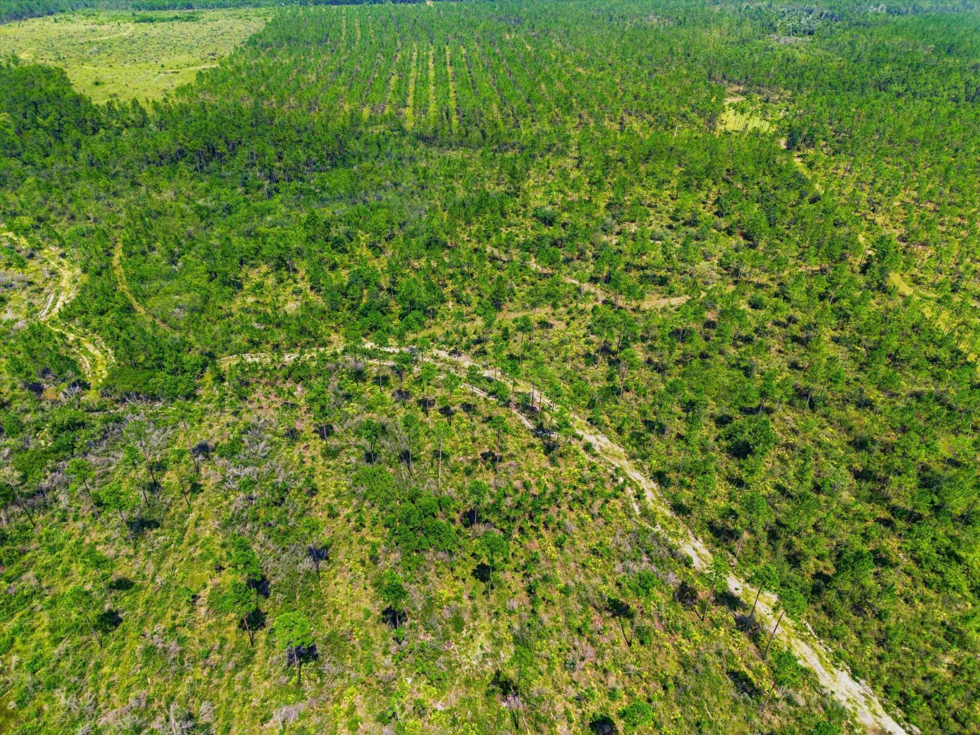 Sw Scotts Ferry Road, Other, FL 32466 Photo