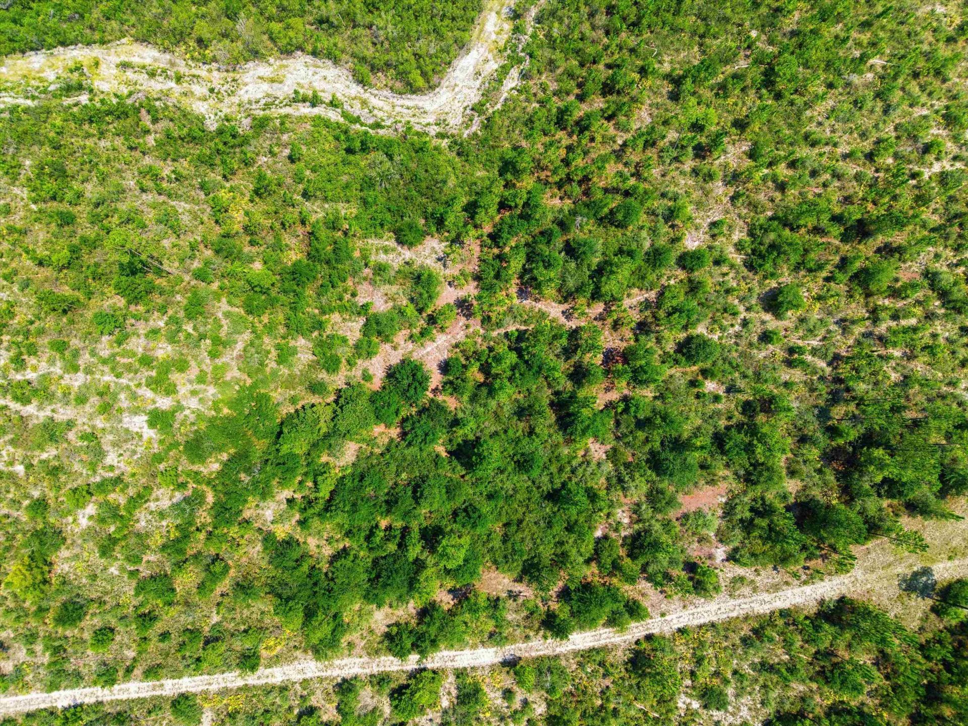Sw Scotts Ferry Road, Other, FL 32466 Photo