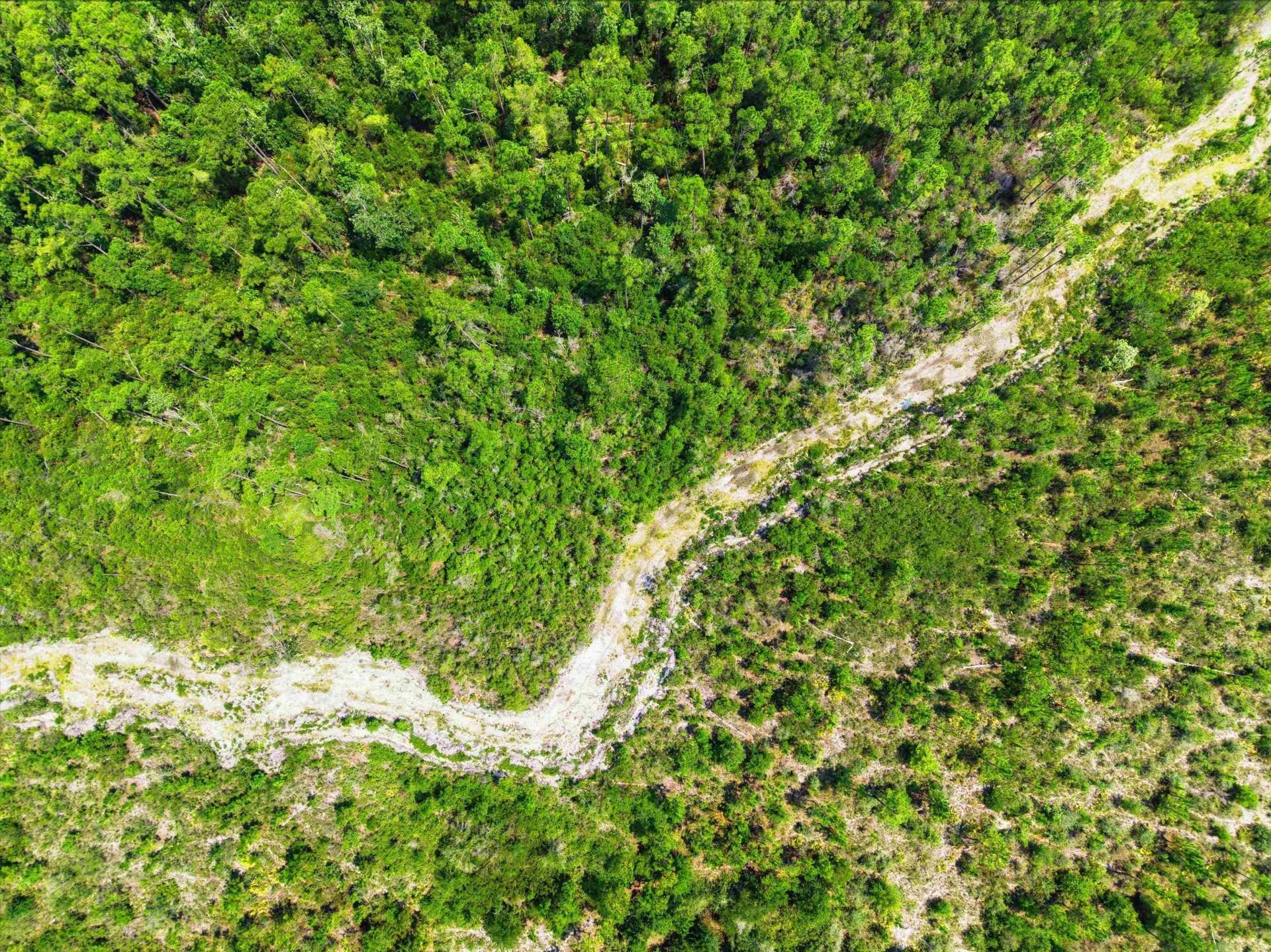 Sw Scotts Ferry Road, Other, FL 32466 Photo