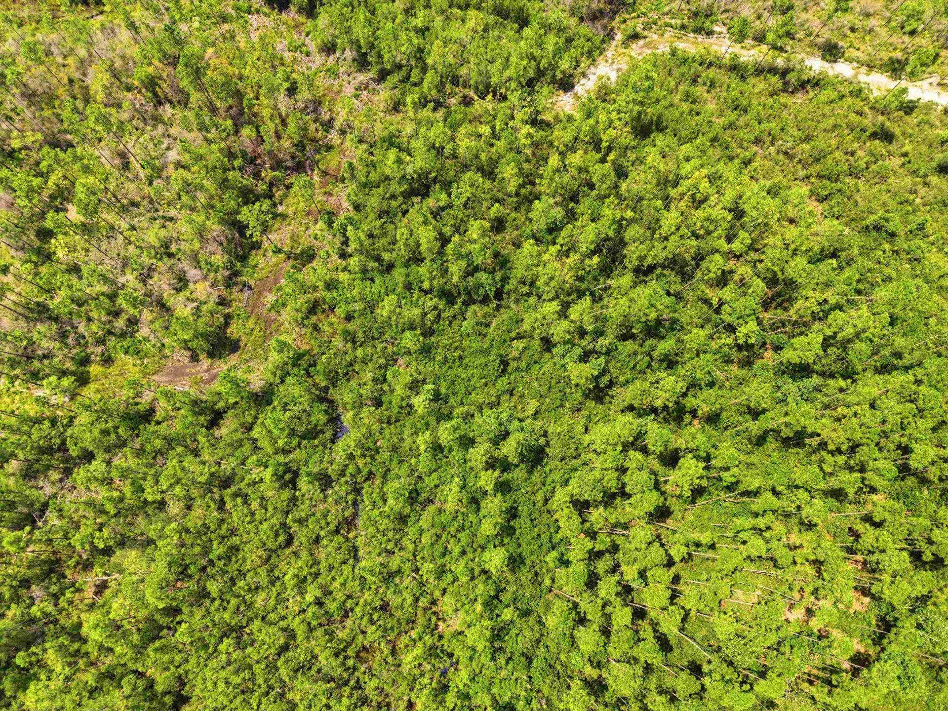 Sw Scotts Ferry Road, Other, FL 32466 Photo