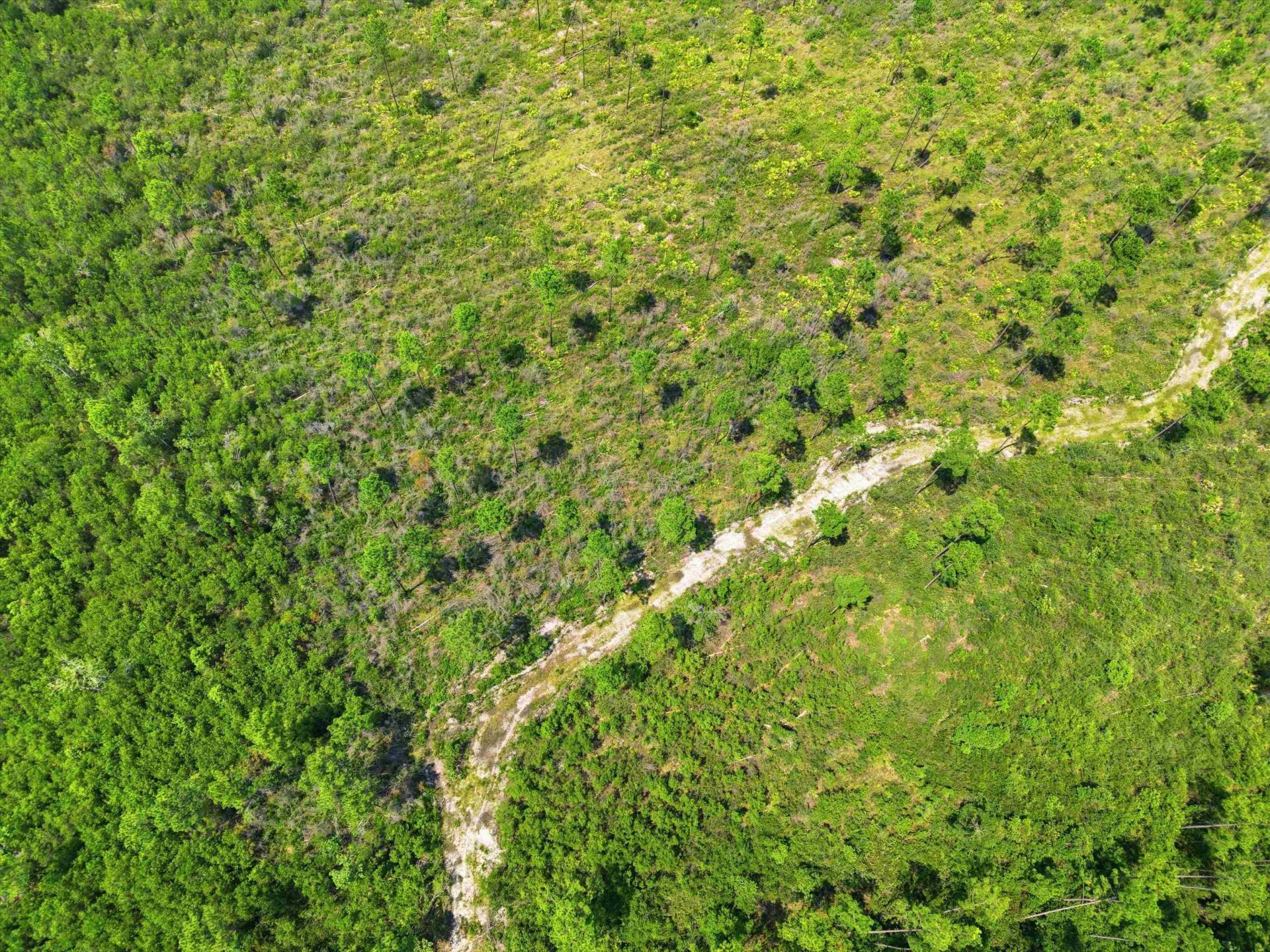 Sw Scotts Ferry Road, Other, FL 32466 Photo