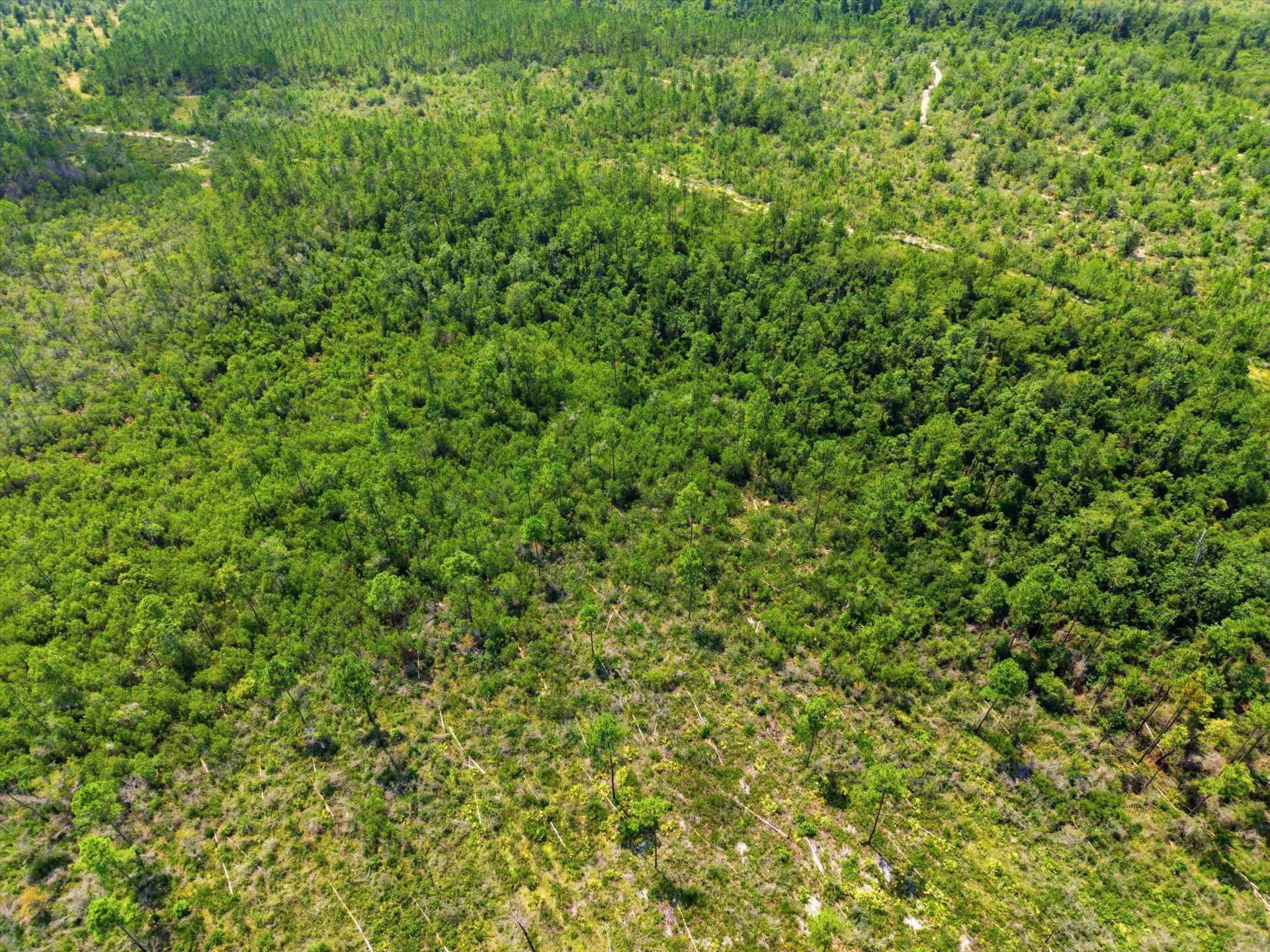 Sw Scotts Ferry Road, Other, FL 32466 Photo