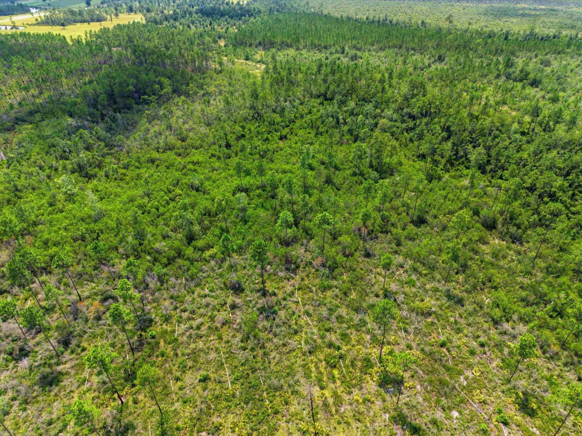 Sw Scotts Ferry Road, Other, FL 32466 Photo