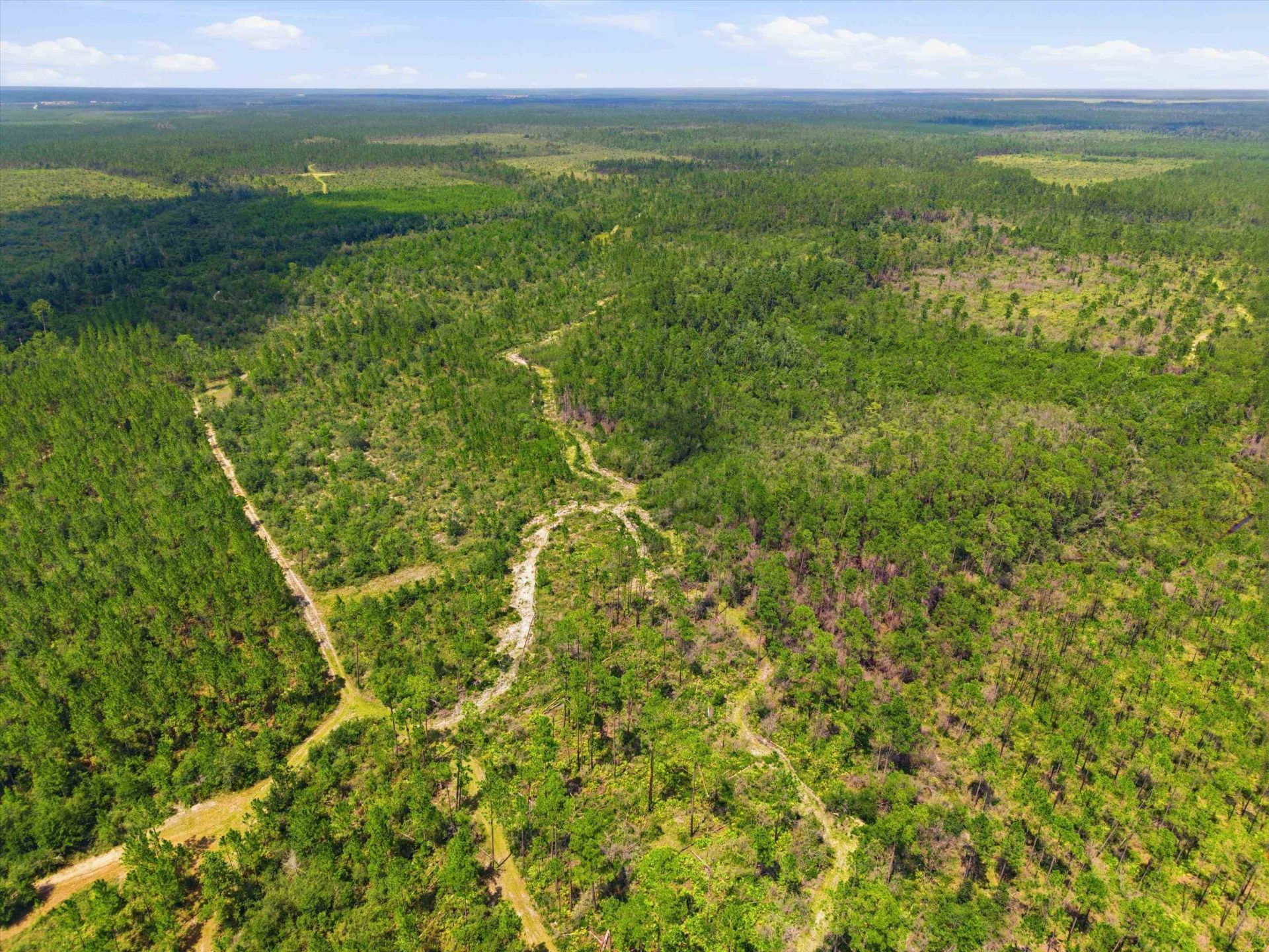 Sw Scotts Ferry Road, Other, FL 32466 Photo