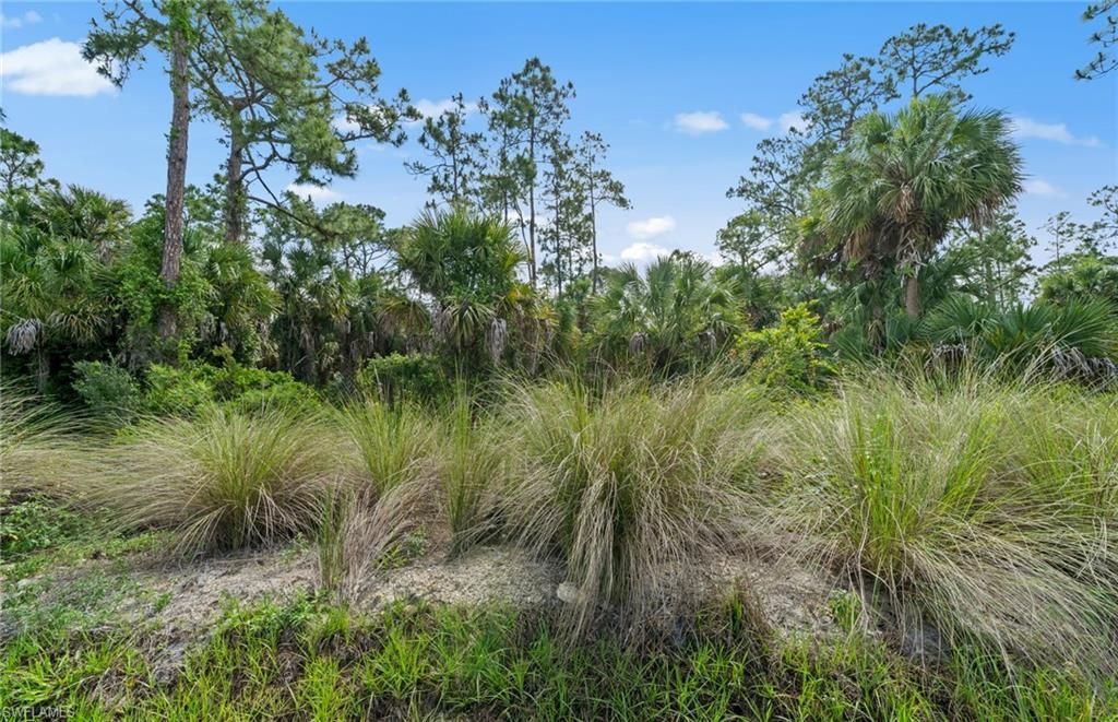 2094 Seville Ln, Naples, FL 34120 Photo