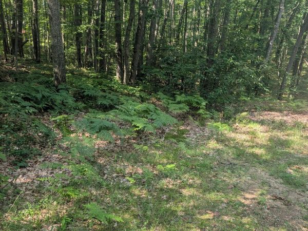 Lot 8-12 Adams Boulevard, Roscommon, MI 48653