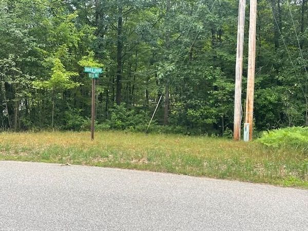 V/L 536 Dover Drive, Roscommon, MI 48653