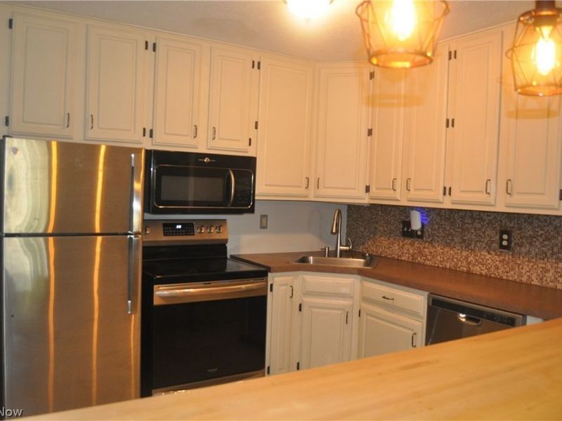 1193 Pinecrest Place, Willoughby, OH 44094 Photo 5