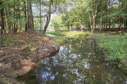 357 Bent Oak Drive photo 4