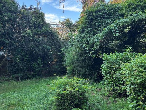 228 Cottage Place, Charlotte, NC 28207