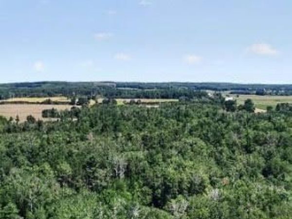 W Vernon Road, Lake, MI 48632