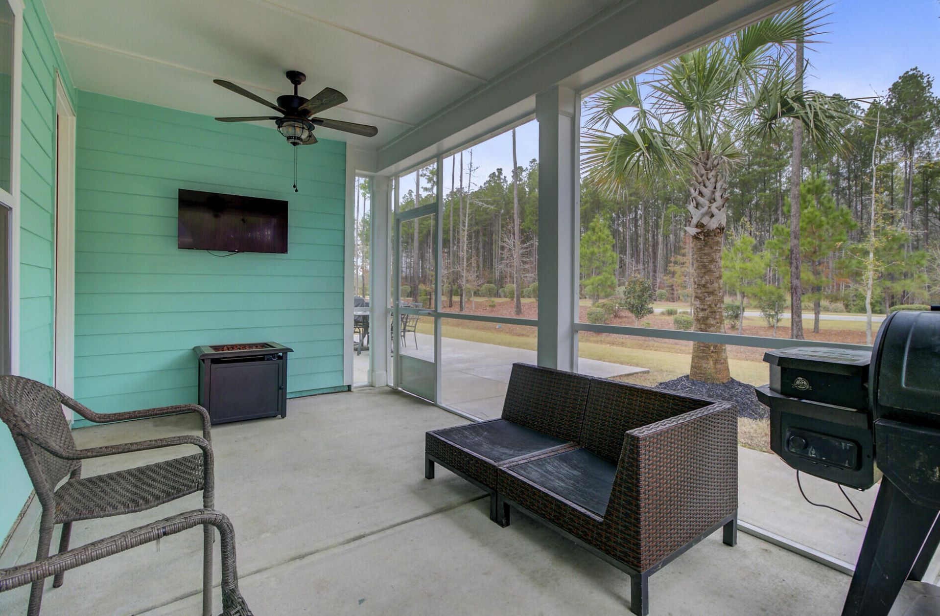1038 Magnolia Warbler Way Photo 34