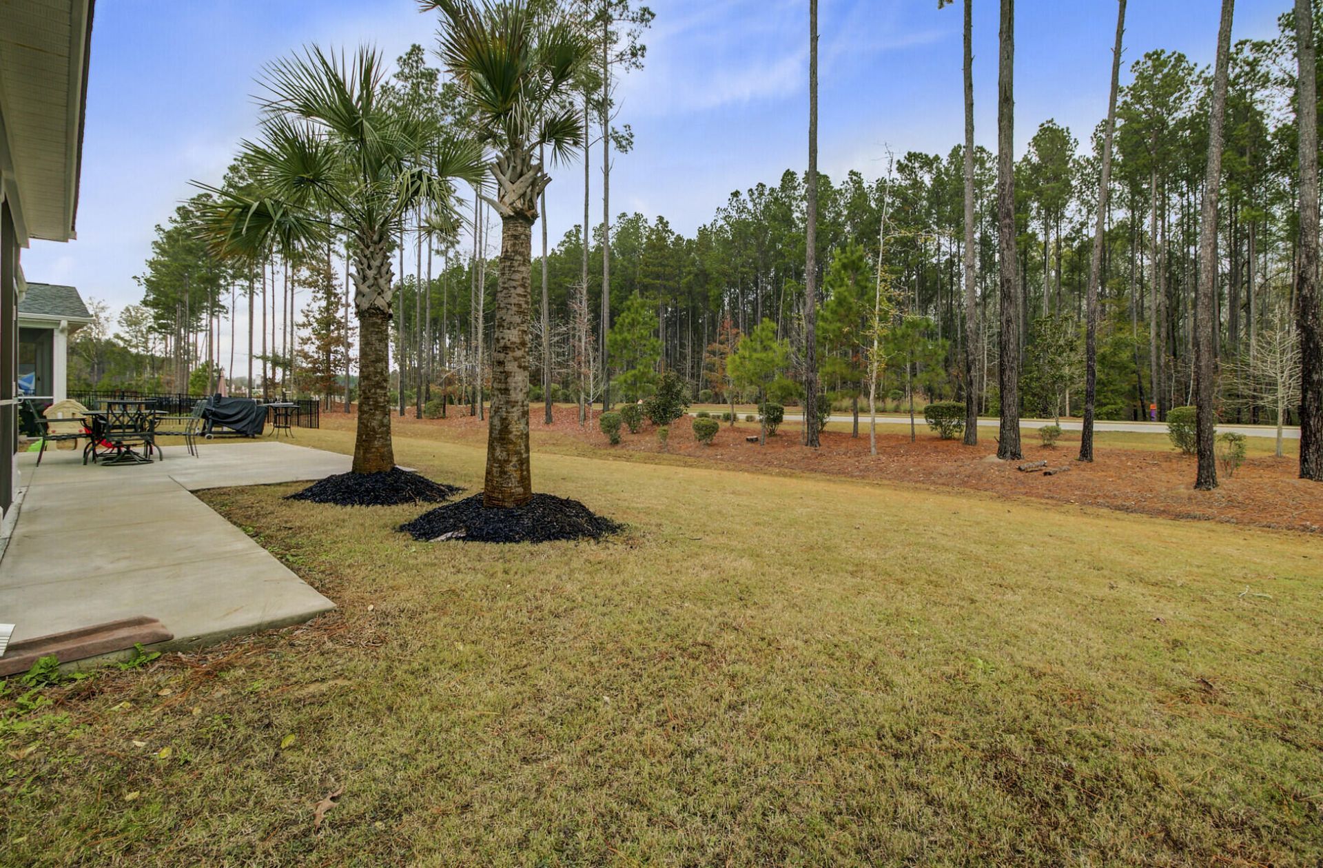 1038 Magnolia Warbler Way Photo 37