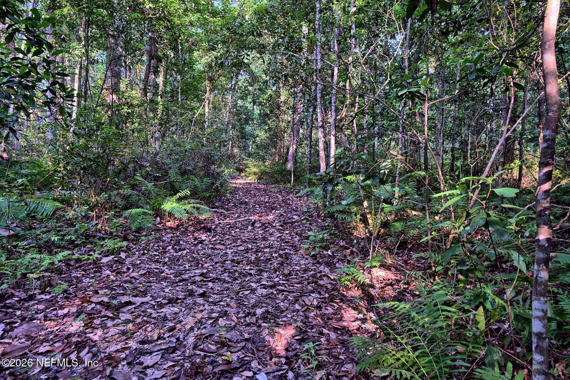 117 Gas Easement Road, Interlachen, FL 32148 Photo