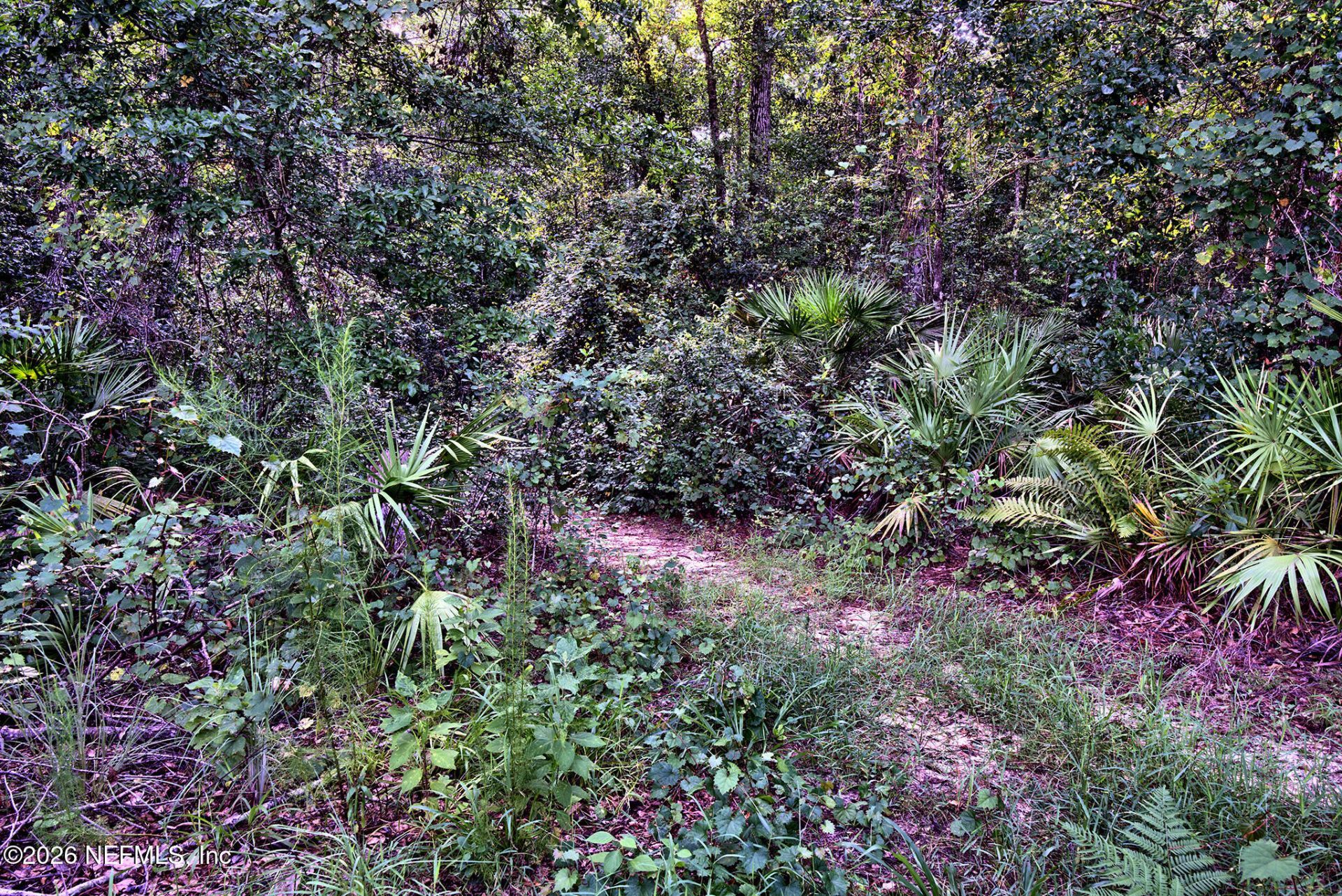 117 Gas Easement Road, Interlachen, FL 32148 Photo