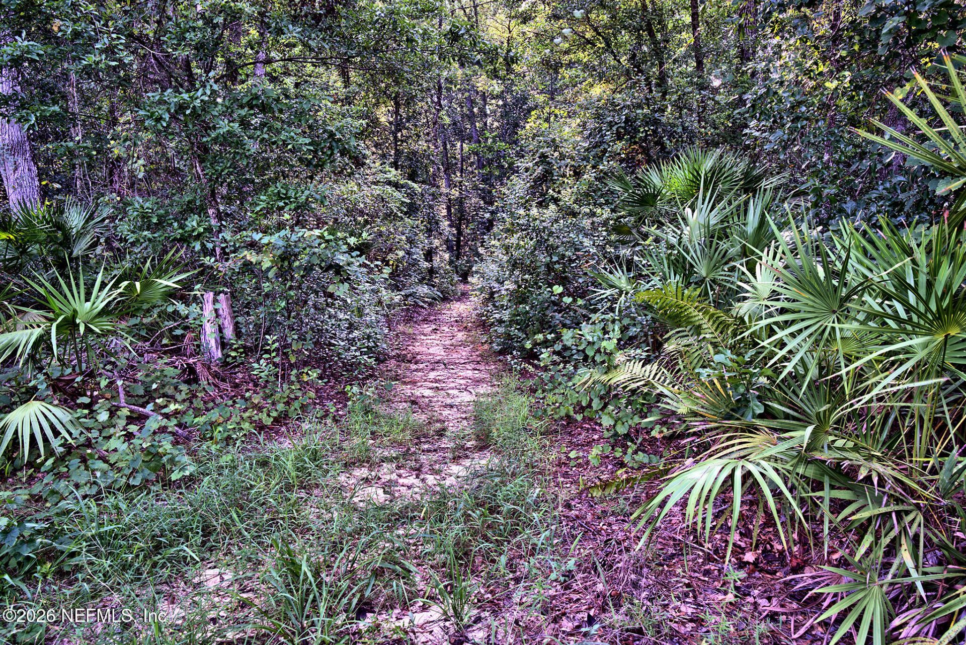 117 Gas Easement Road, Interlachen, FL 32148 Photo