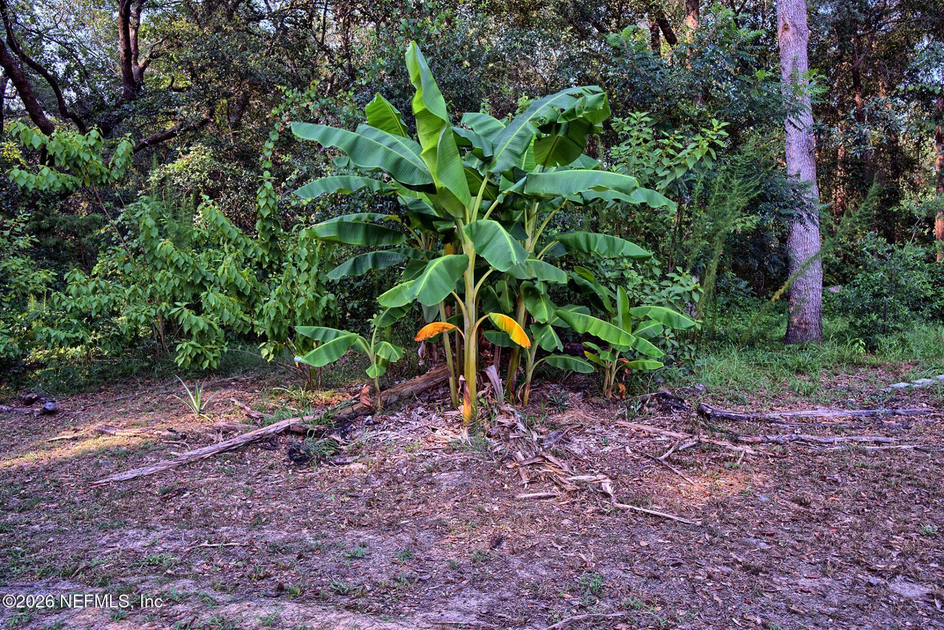 117 Gas Easement Road, Interlachen, FL 32148 Photo