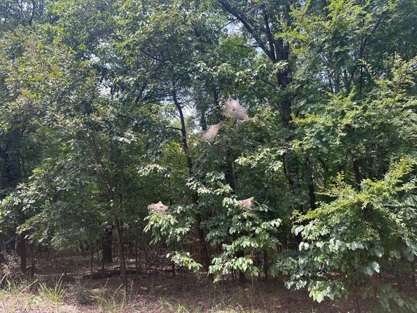 S 550 Road , Afton, OK 74331