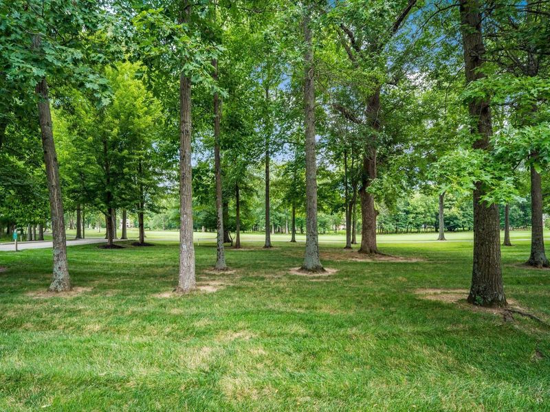 8220 Julian Drive, Westerville, OH 43082 Photo 3