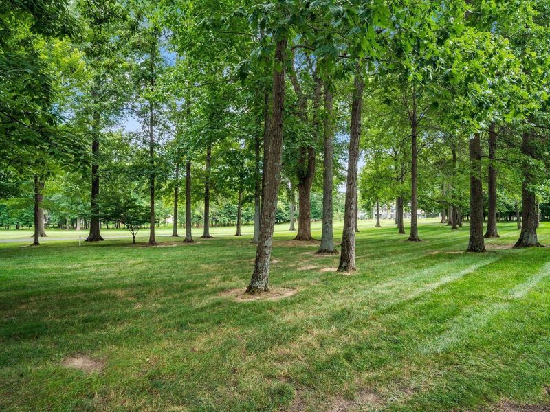 8220 Julian Drive, Westerville, OH 43082 Photo 40