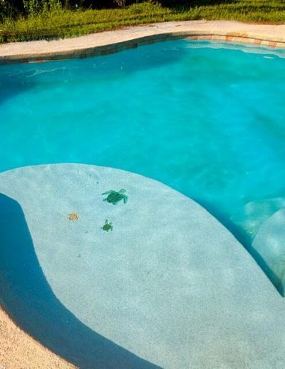 12377 77th Place N, The Acreage, FL 33412 Photo