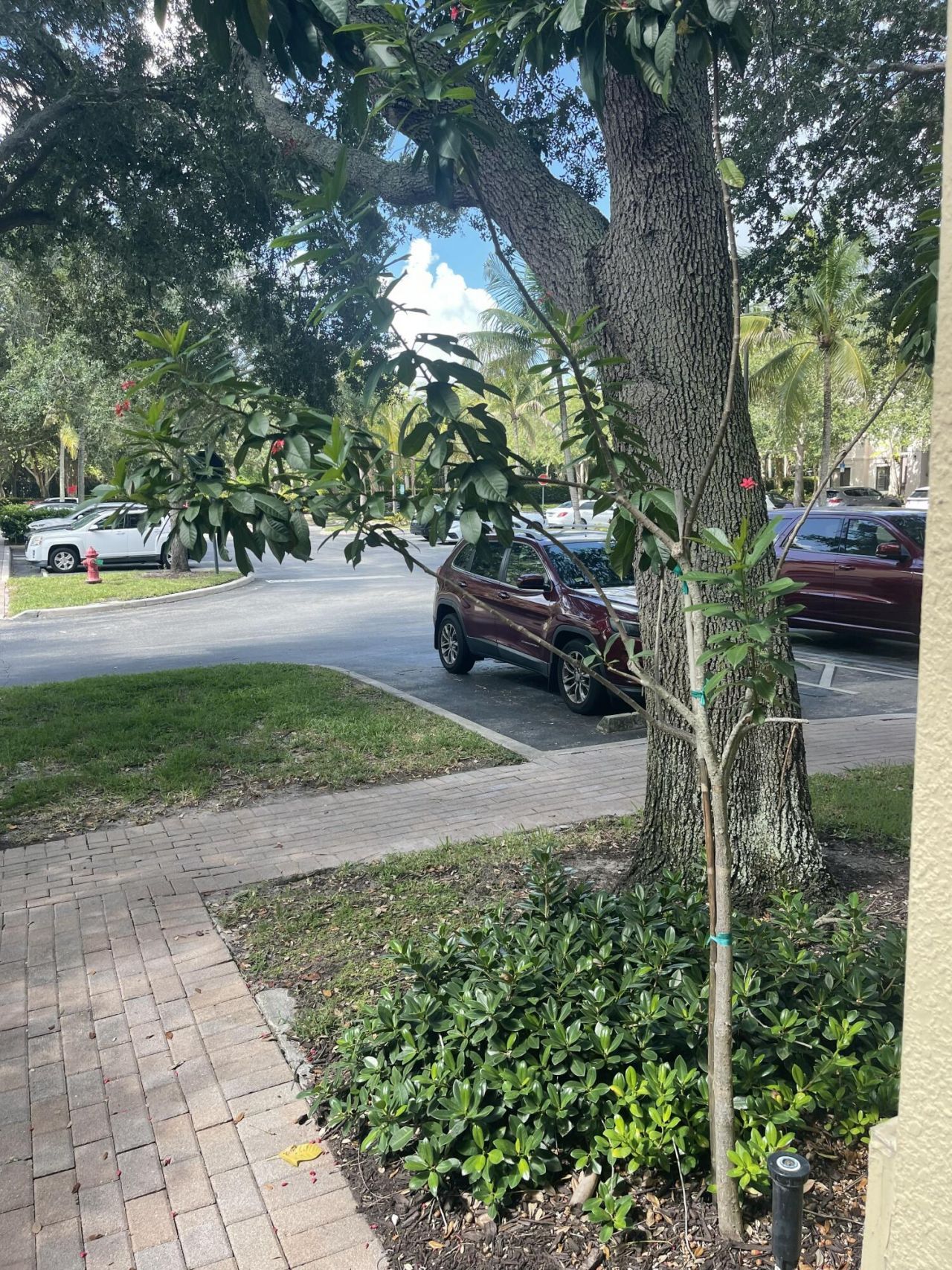 2729 Anzio Court, Unit 102, Palm Beach Gardens, FL 33410 Photo