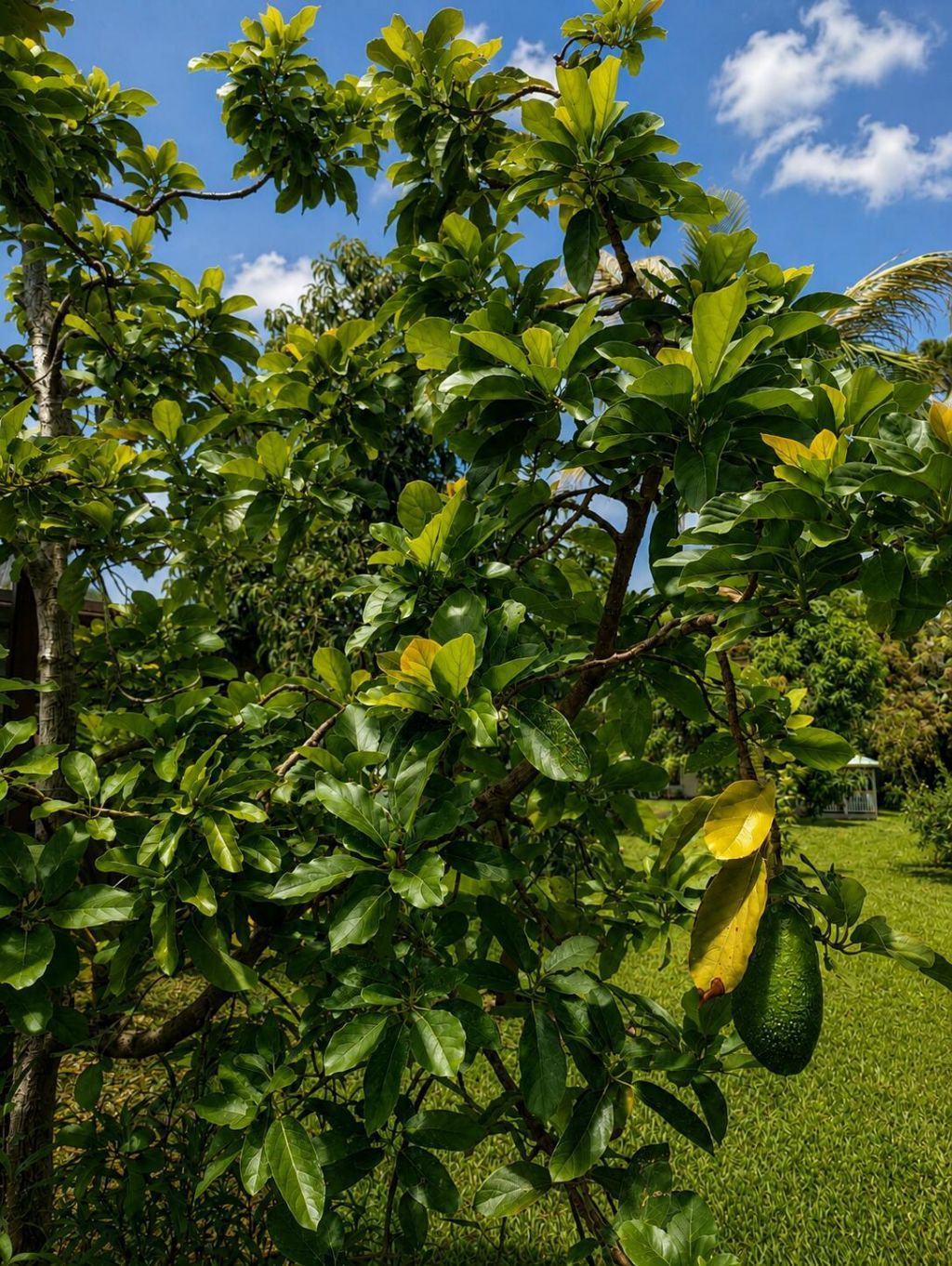3120 NE Heather Court, Jensen Beach, FL 34957 Photo