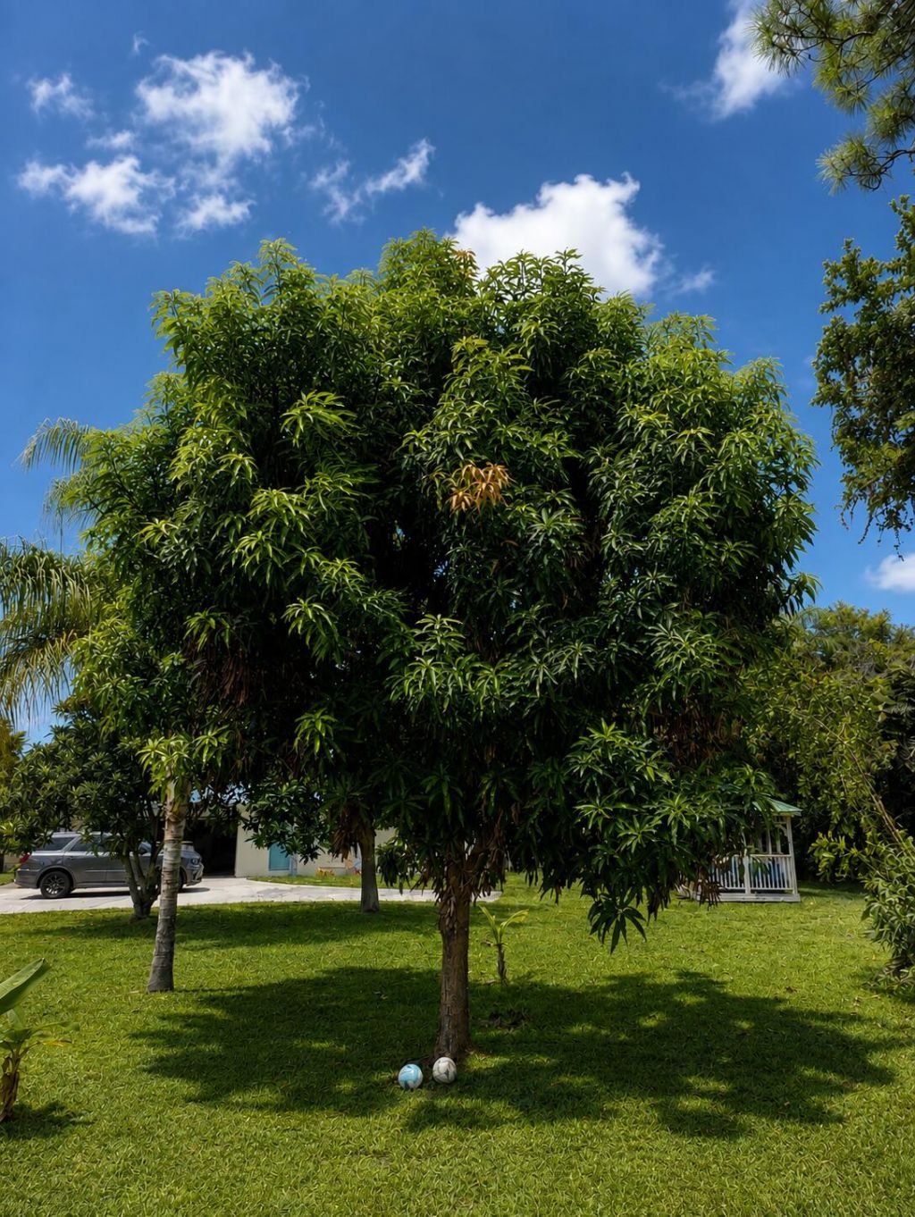 3120 NE Heather Court, Jensen Beach, FL 34957 Photo