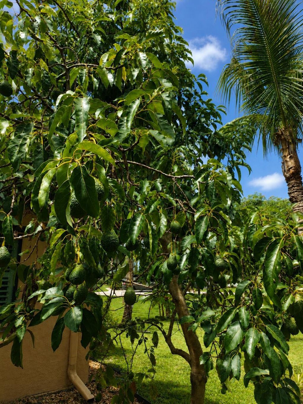 3120 NE Heather Court, Jensen Beach, FL 34957 Photo