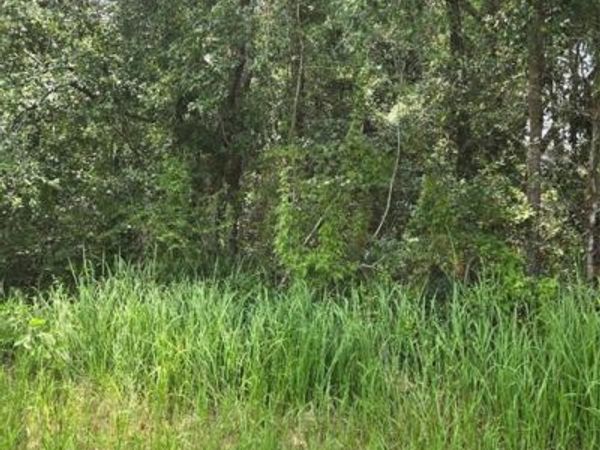2749 Bear Fork Road, Eight Mile, AL 36613