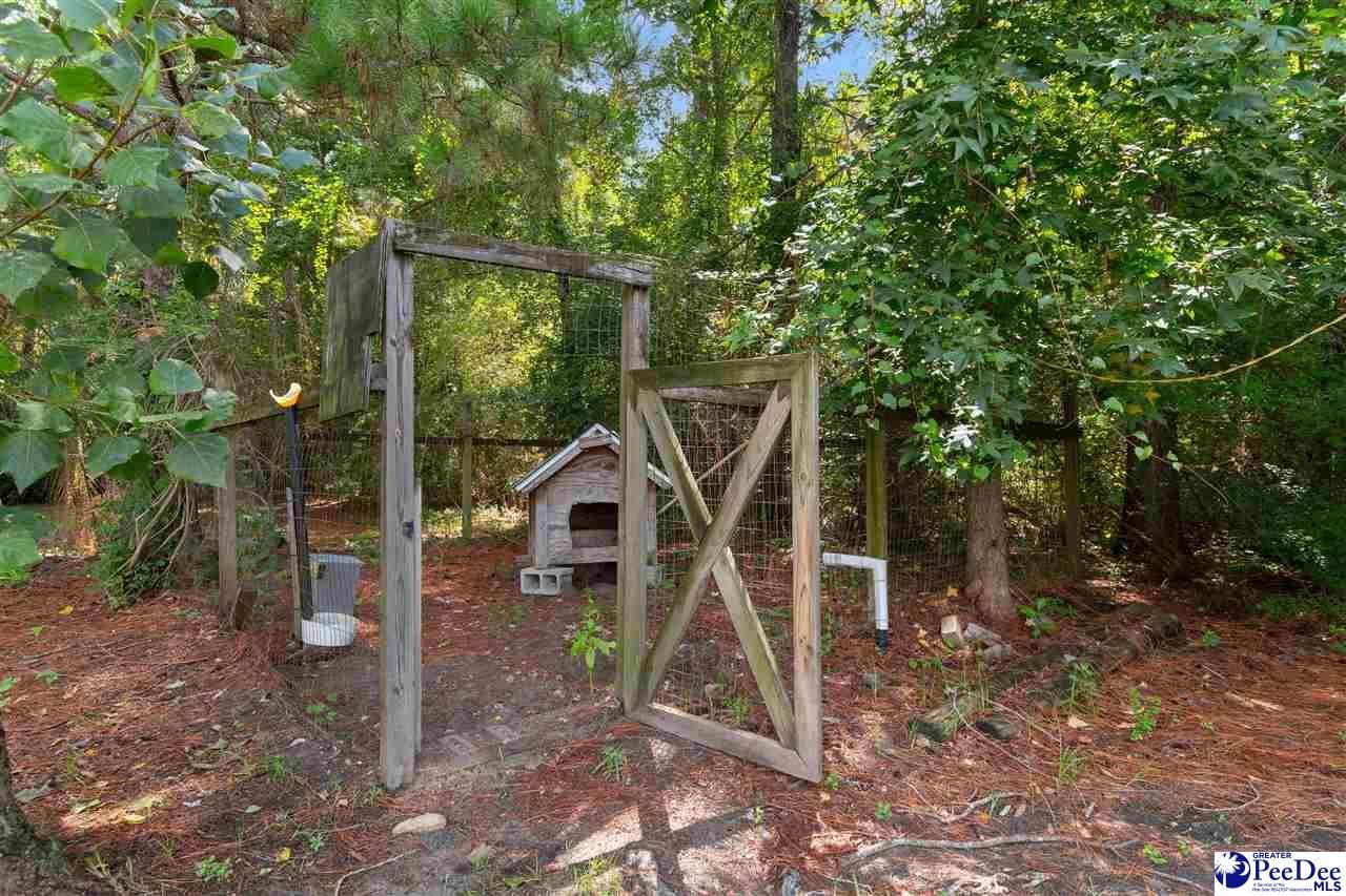 4149 Long Bay Rd Photo 35