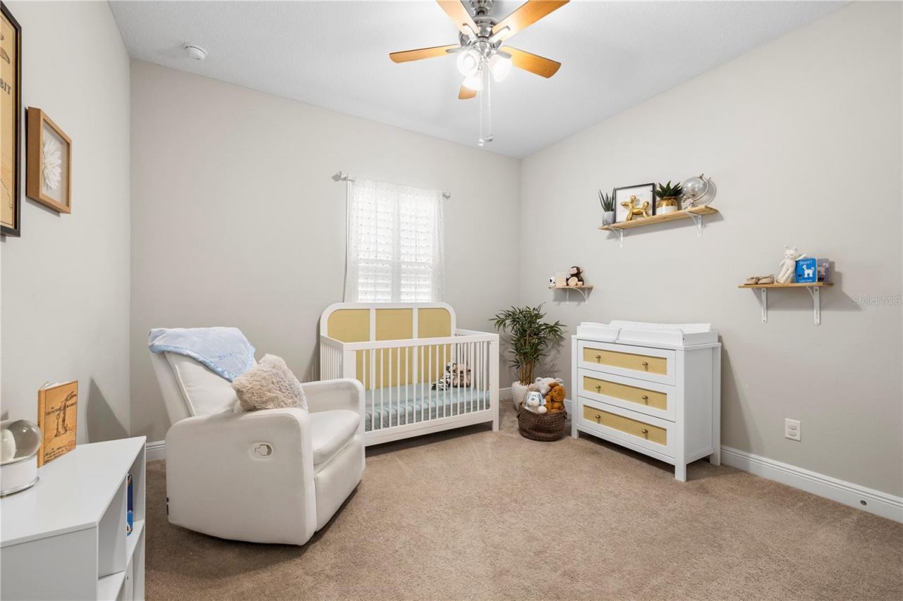 4374 Tuner Bend, Land O Lakes, FL 34638 Photo